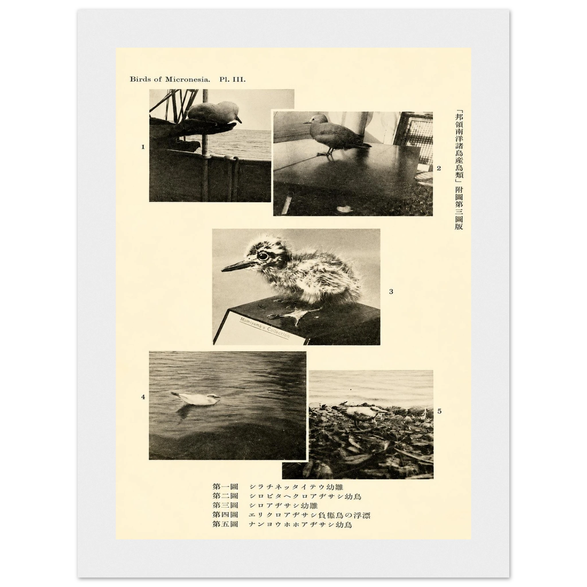 c2e0f659-9dd2-47bf-8251-f1bc100d005d