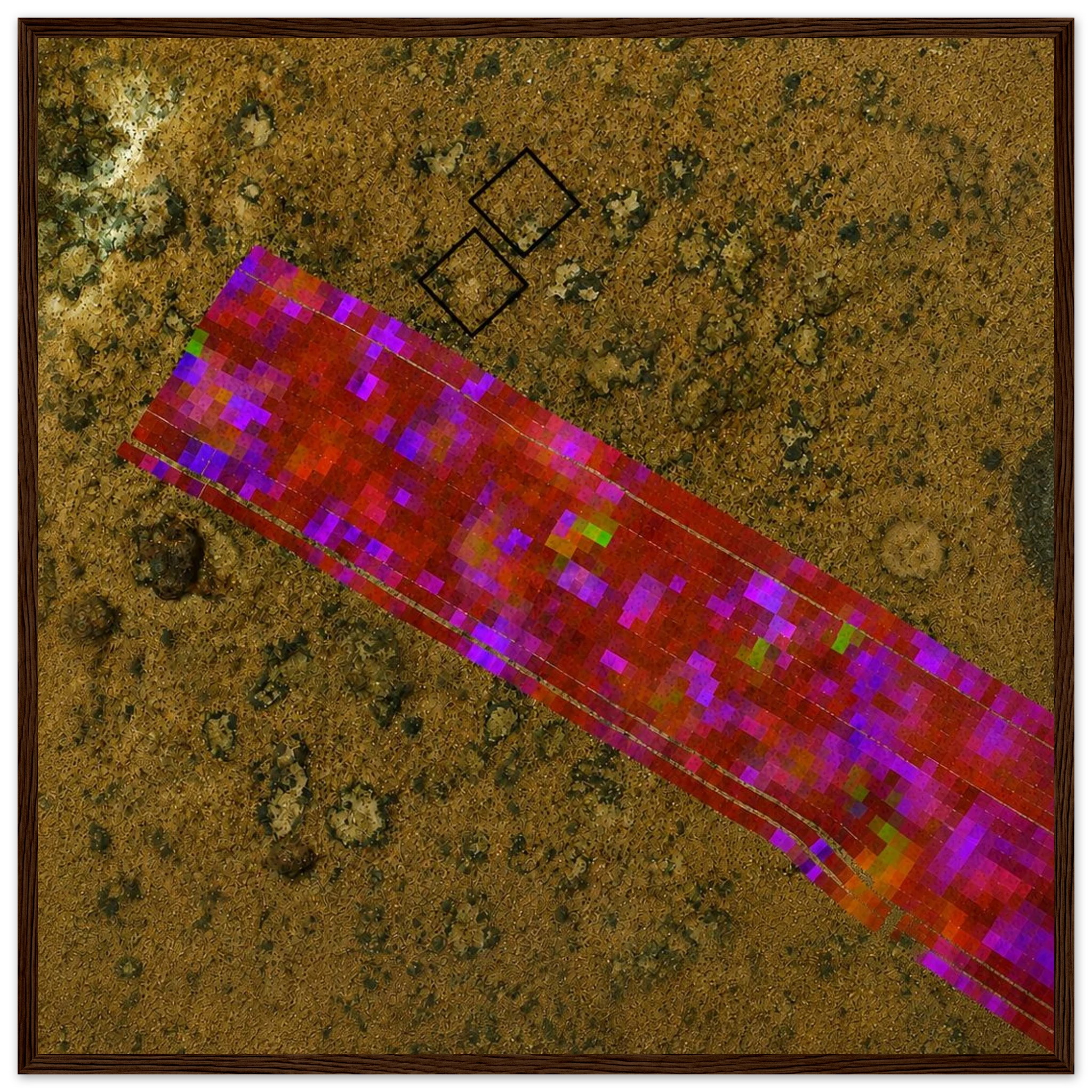 c31876aa-a261-4fd1-9b0c-a63645b66c04