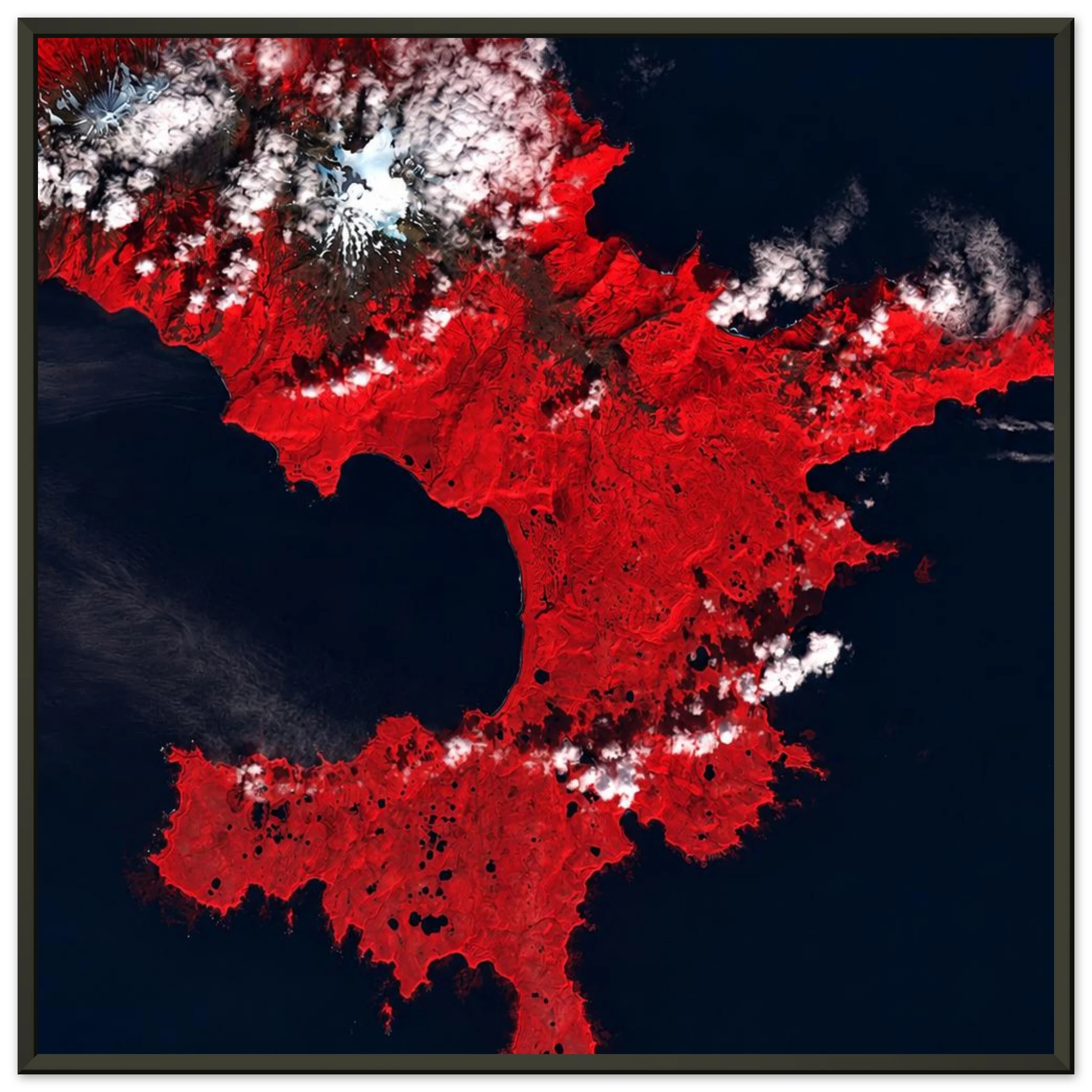 c31dc330-ae07-4356-bccc-04622291efe7
