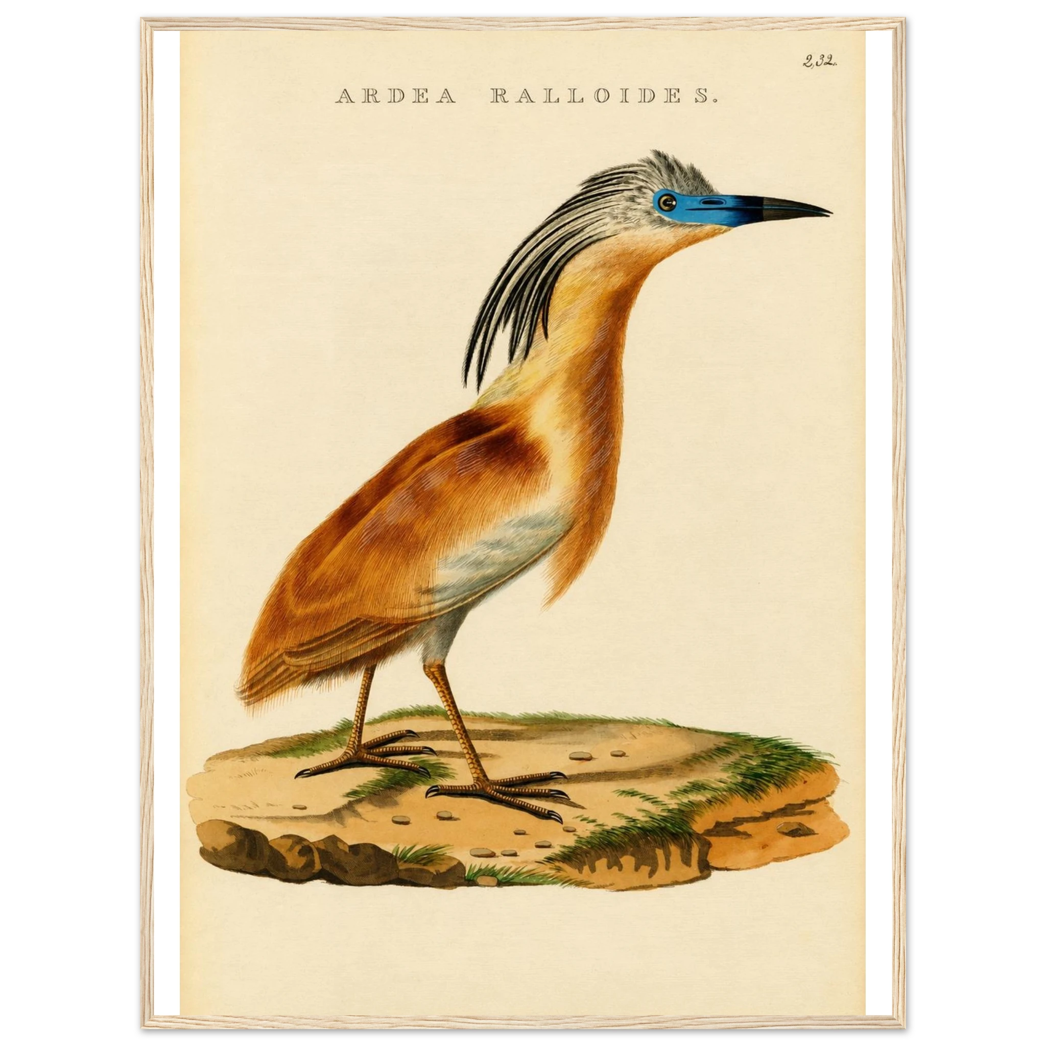 c3467c71-5b81-4db8-aa62-9480f26414ee