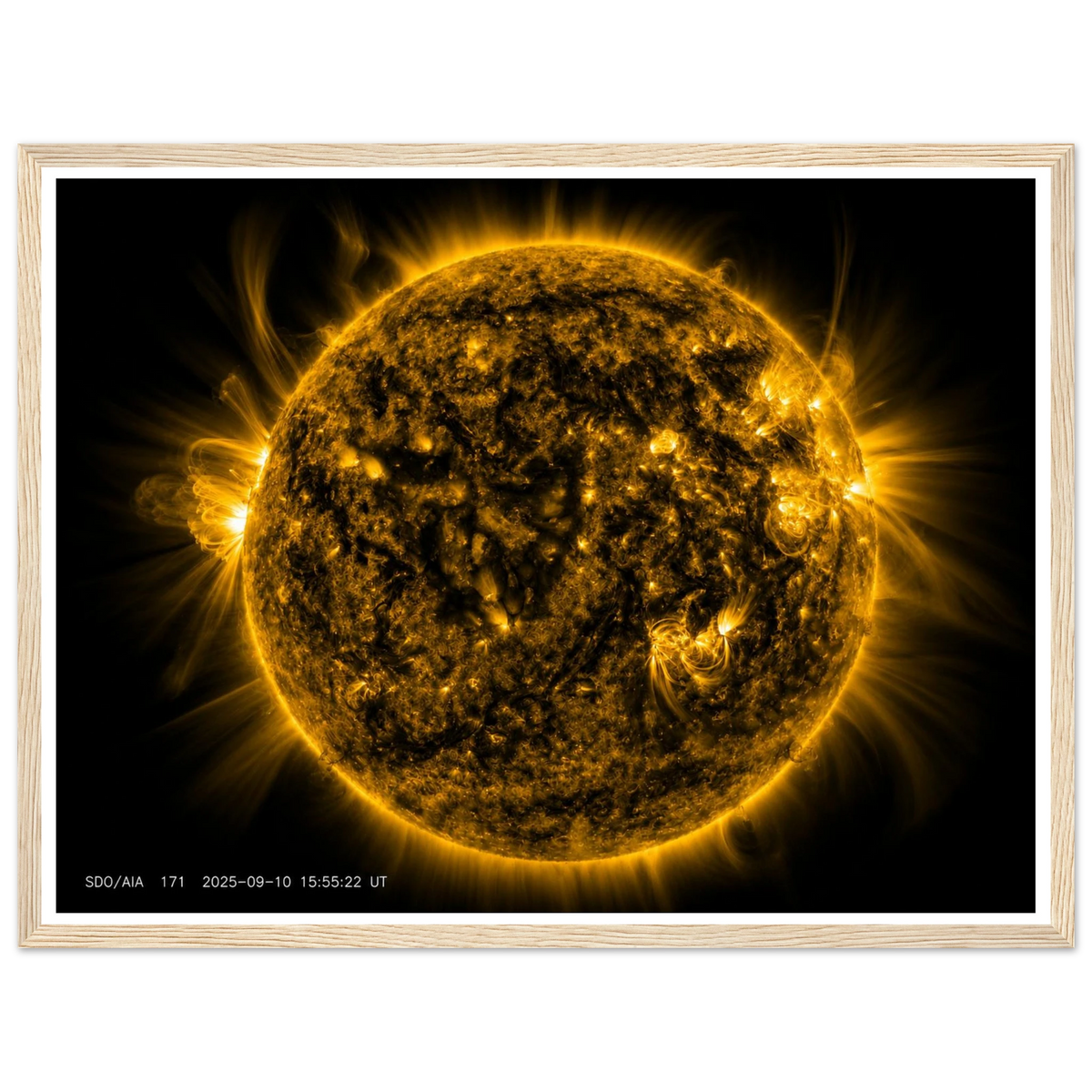 c3d76bfa-eaa8-429a-bc0b-32fc8d20b7e3