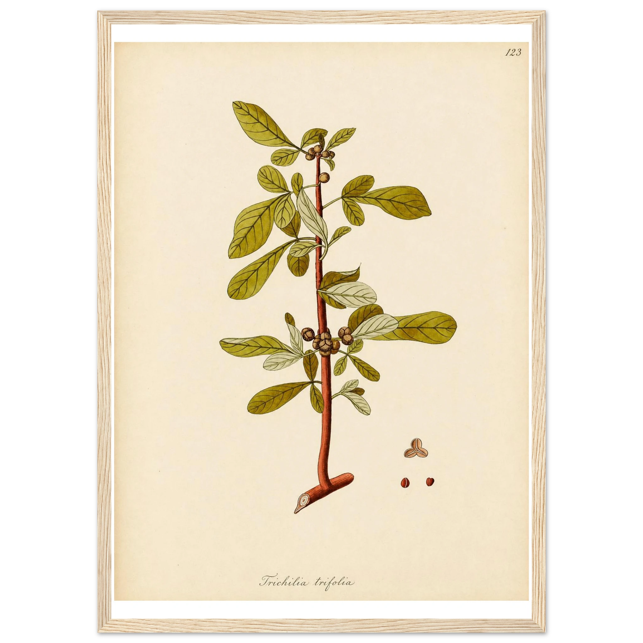 c48764bb-89a4-4c36-928d-3e9082a01b85