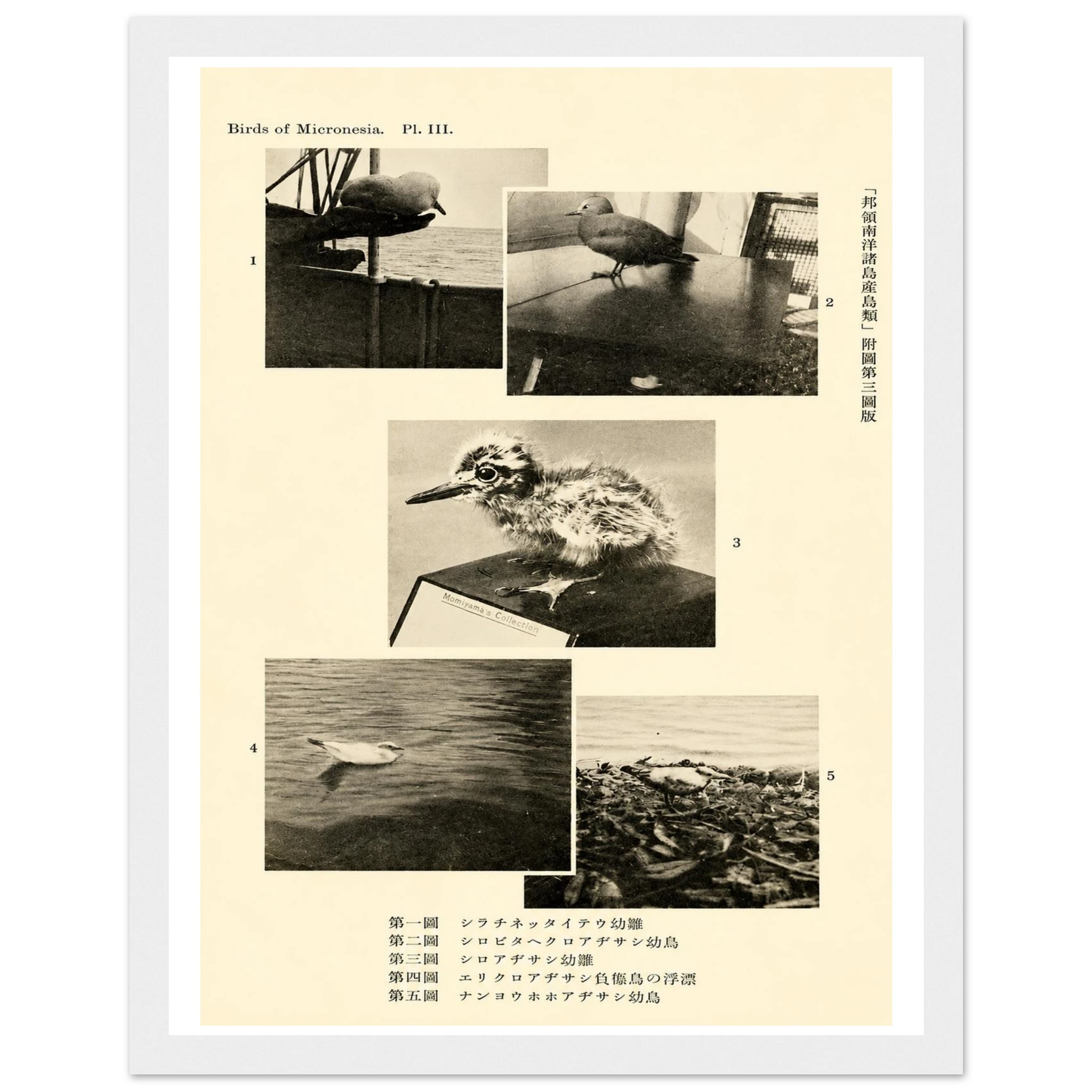 c48e1d5d-6242-4a05-bd09-a720e3e5295d