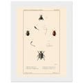 c48ecace-c72c-465c-8bbb-b7370d132d70