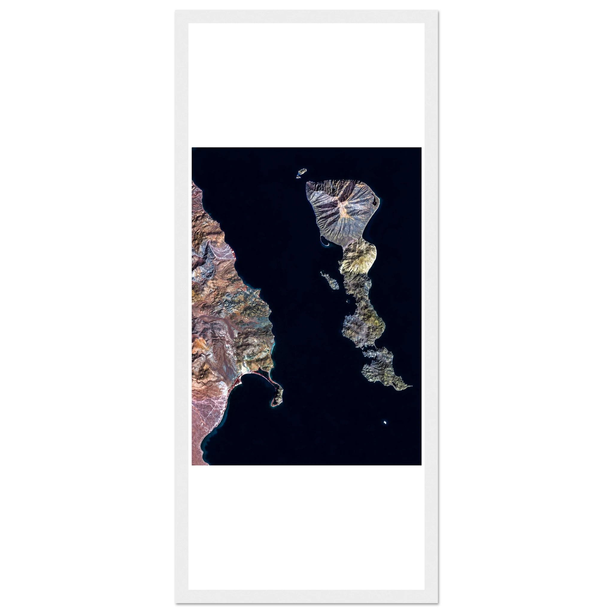c4994854-8583-4599-b566-82ee72750417