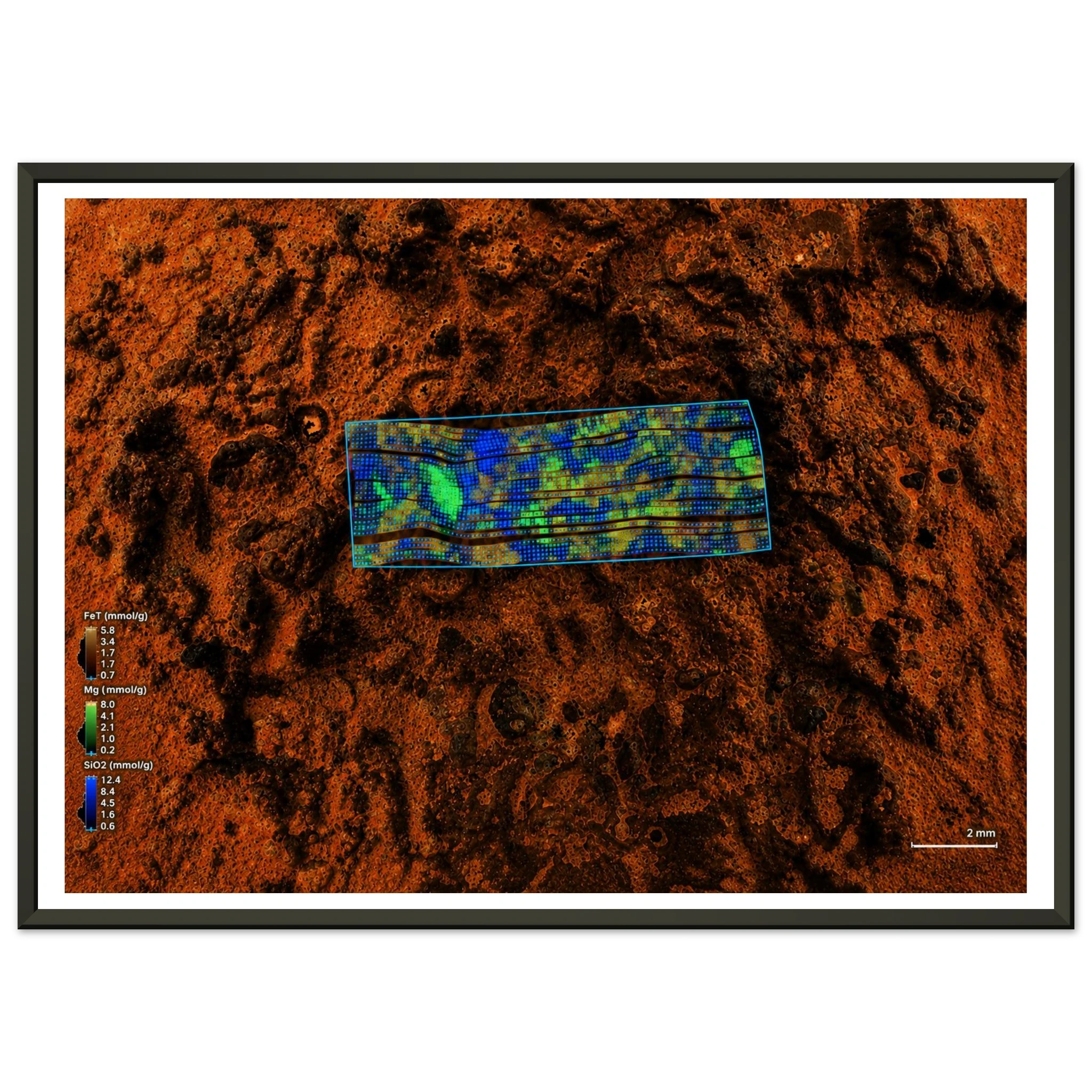 c49b9bc1-5af8-4493-a755-54213ee04b5e