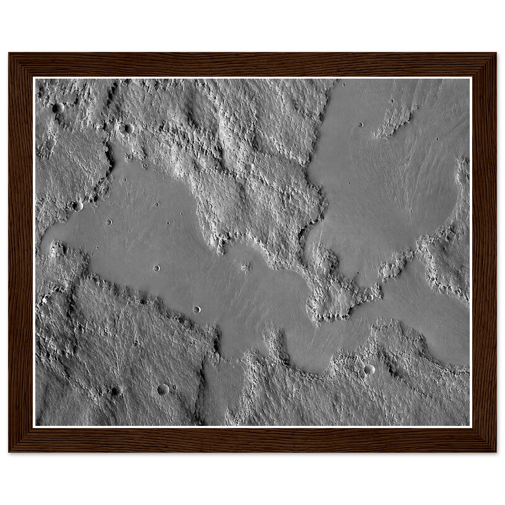 c4d6d51c-8789-4f81-a051-6d4ff9012b96