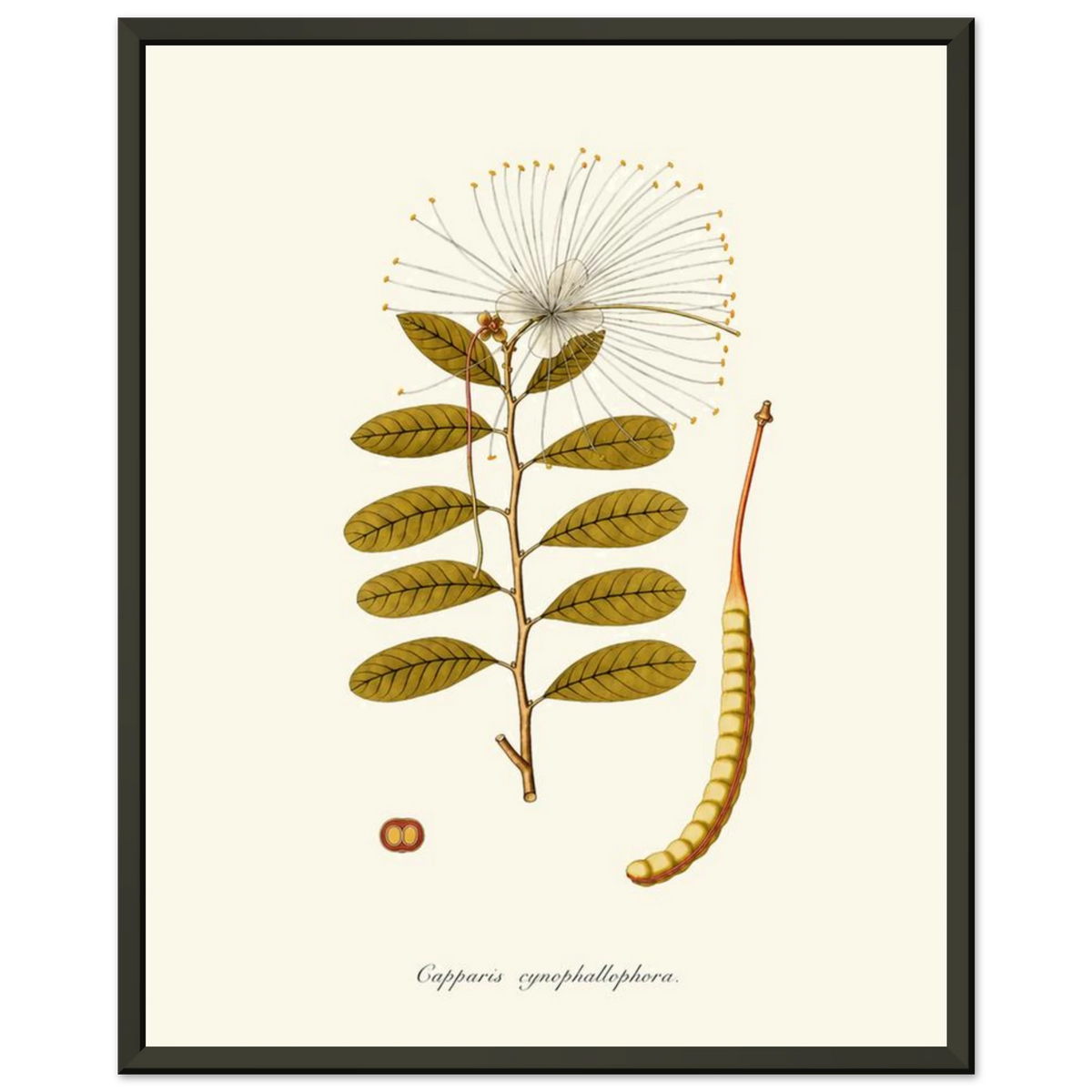 c5360241-7a8a-42aa-872e-f369ab4a9bac