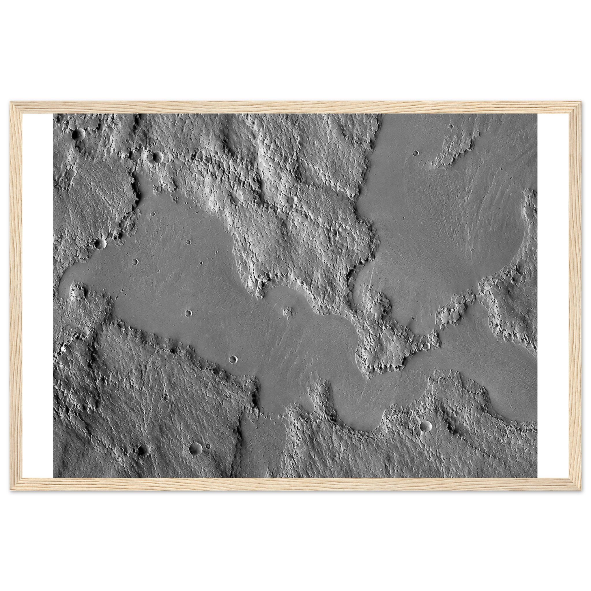 c538211c-d968-4417-a3c9-581596a2bf2e
