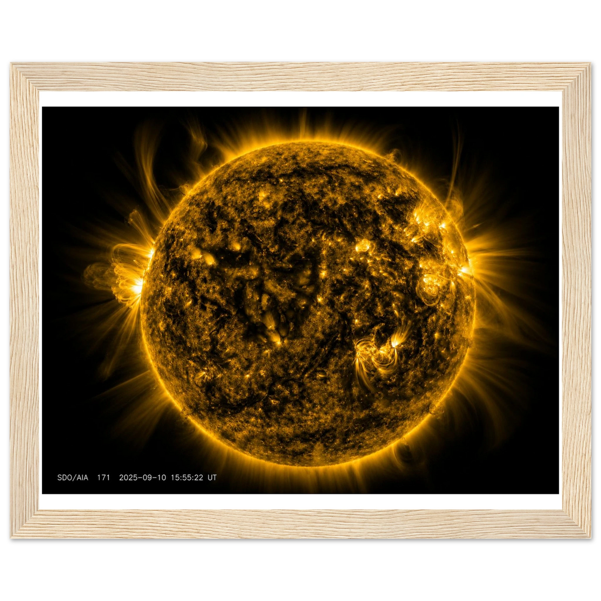 c541fd0d-69c0-453a-994b-3c3a7ef13800