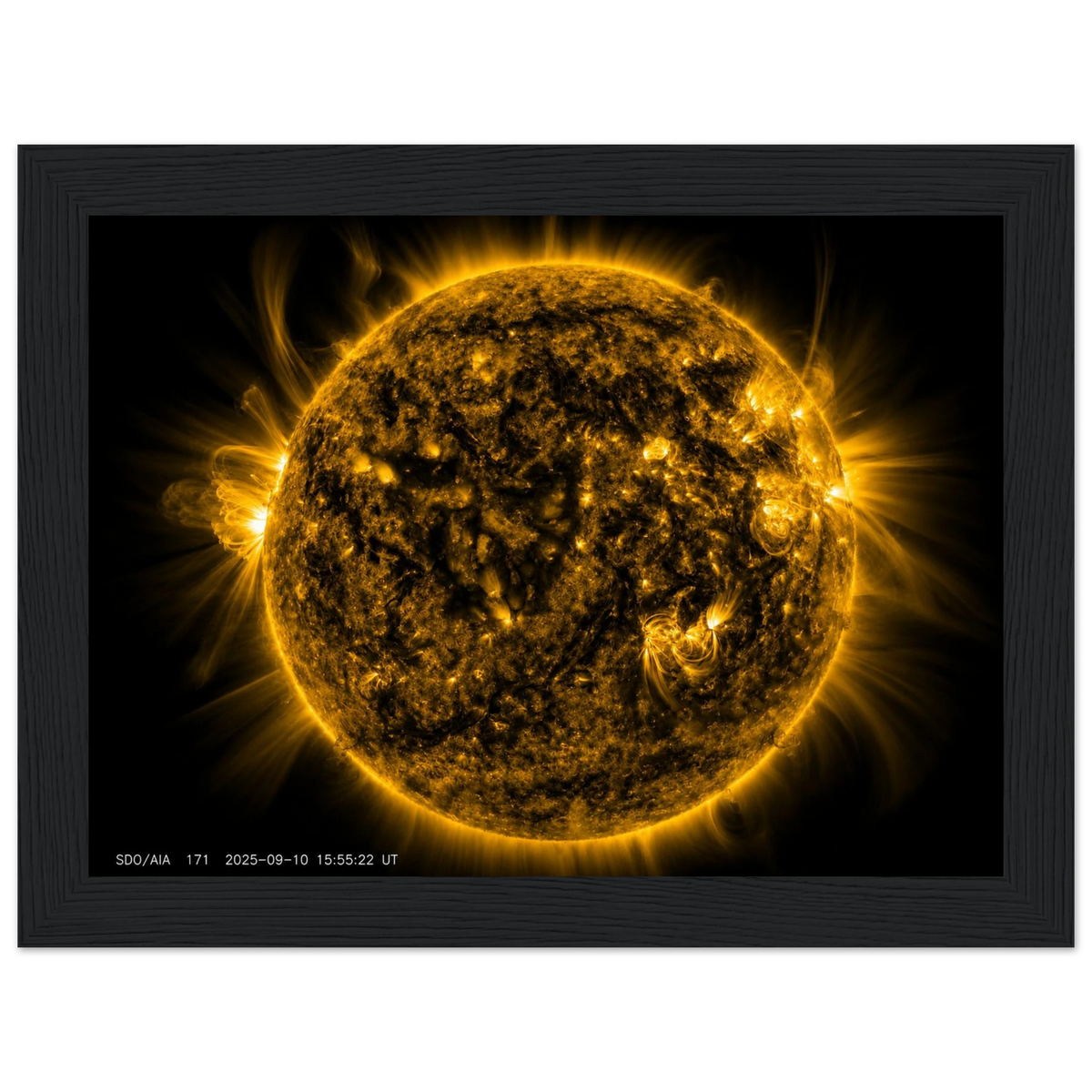 c55e8a11-dd84-4136-bdf8-d2af9d0c71b6