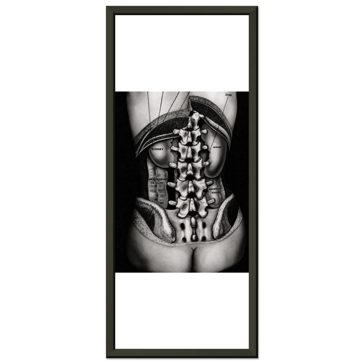 c6062004-9417-4da6-b33b-7ca199e49a43