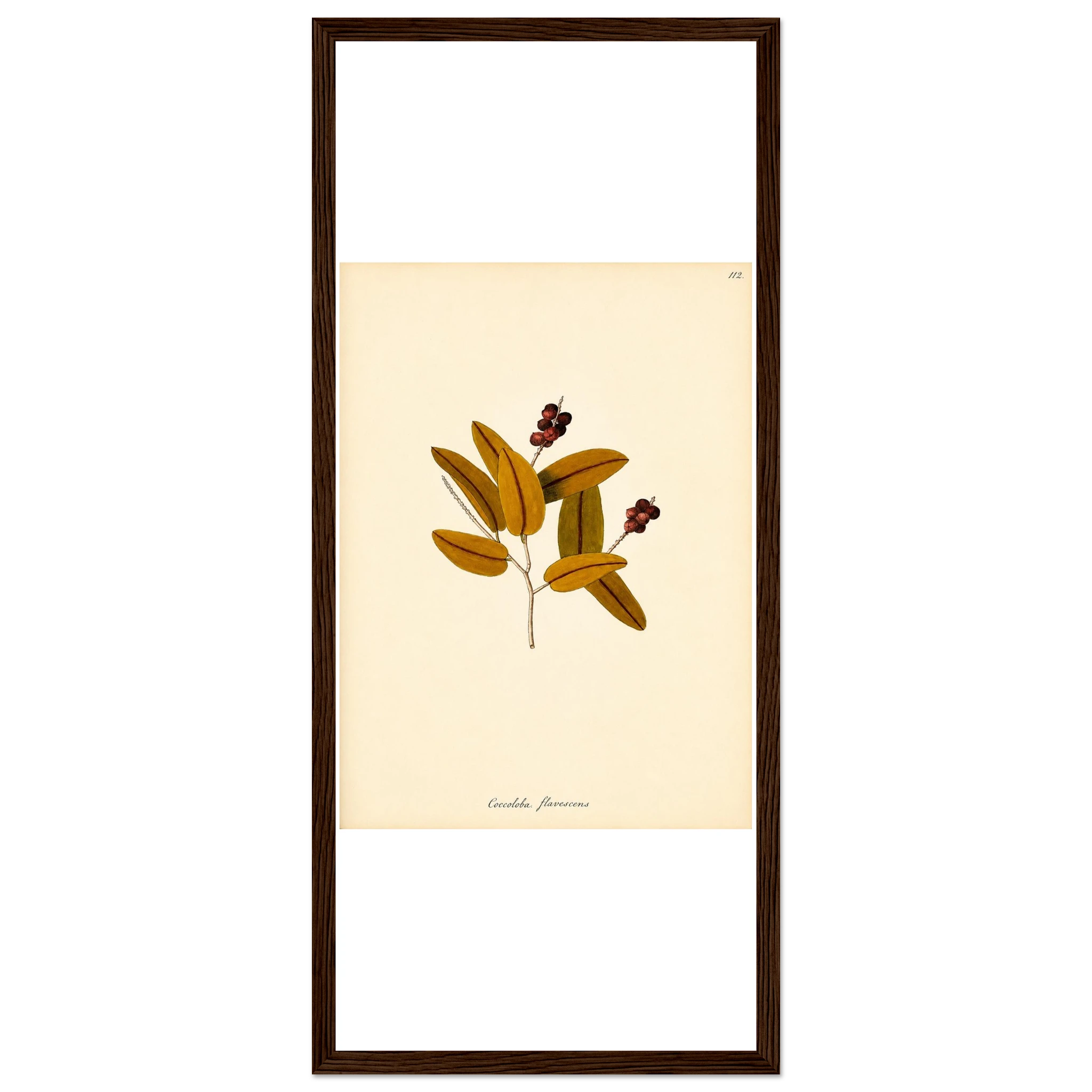 c72bdae4-da5f-447c-a02d-8f12ad3c33d7