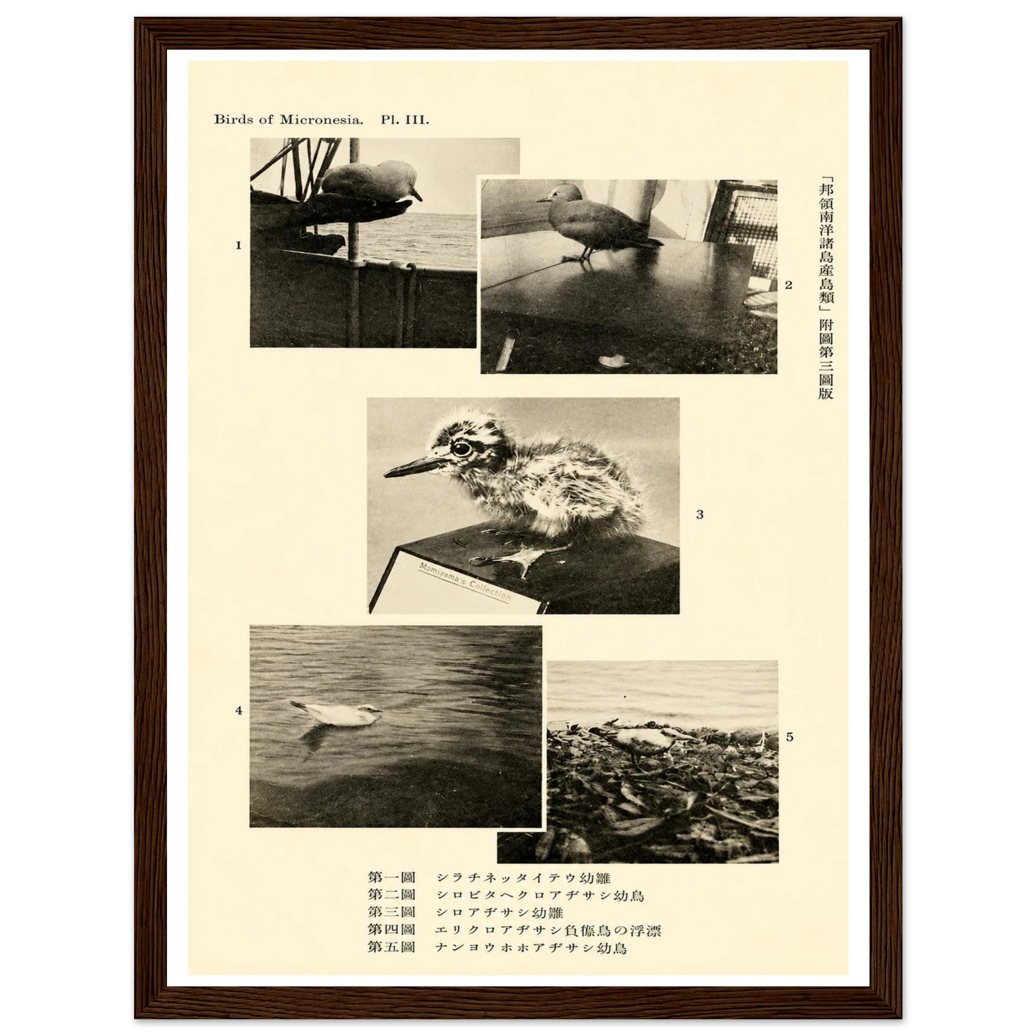 c7516992-ff19-4276-a399-348f4dcd15be