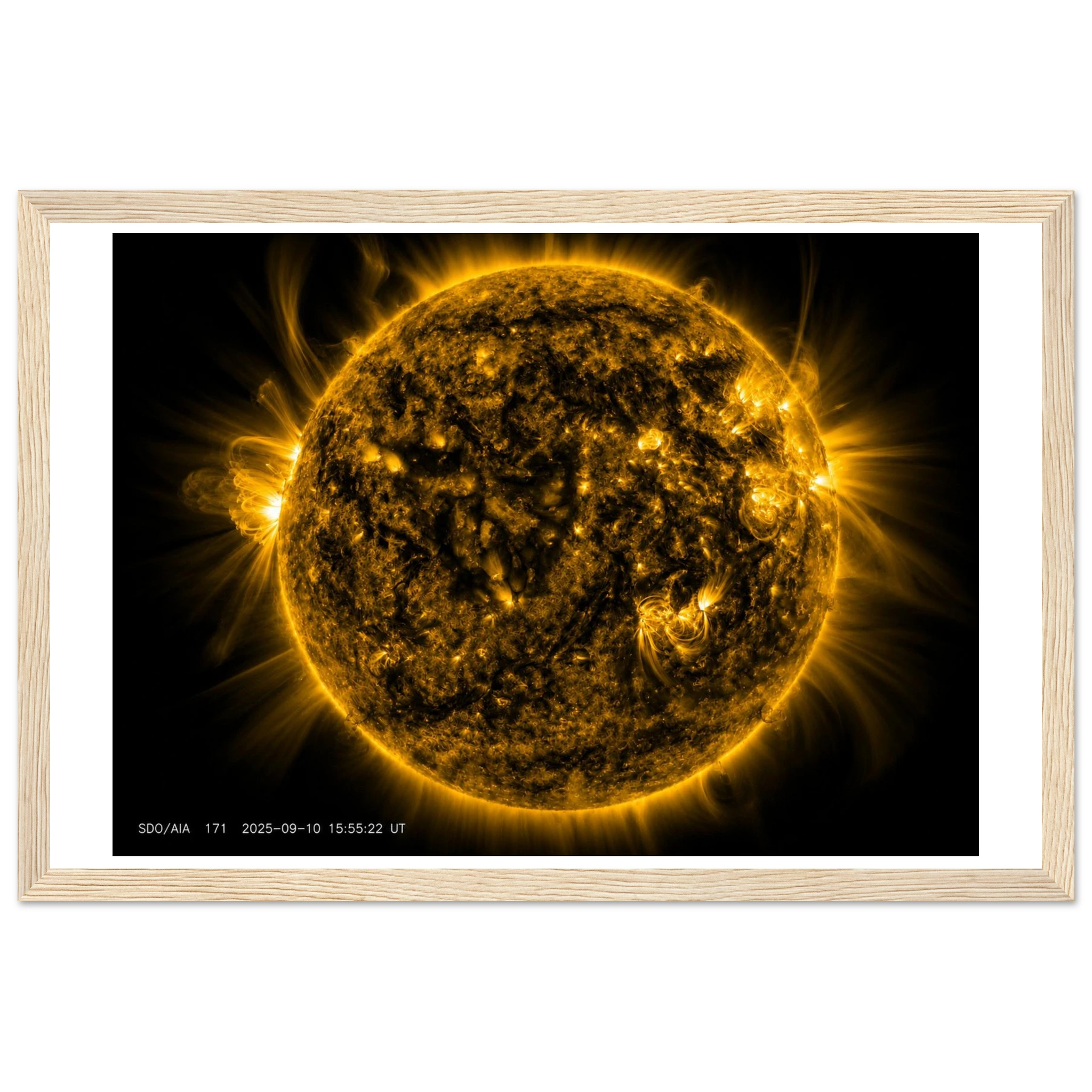 c892e5cd-bed0-4ac1-9c73-4635d1abee34