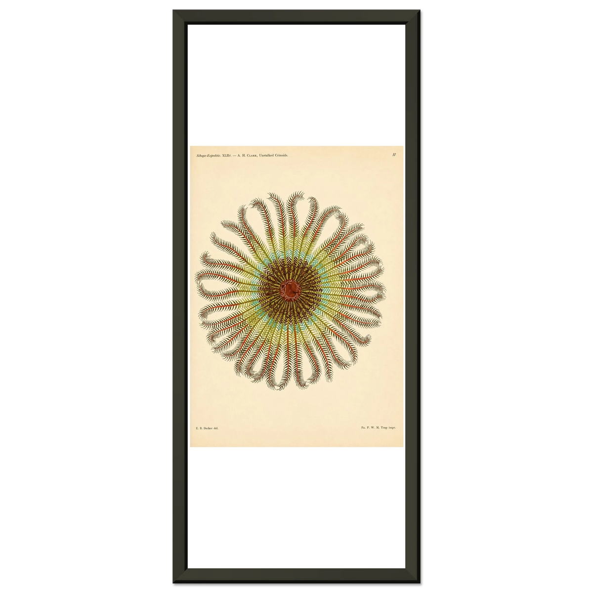 c8c1524f-c196-4d66-a901-b0ad64e4296d