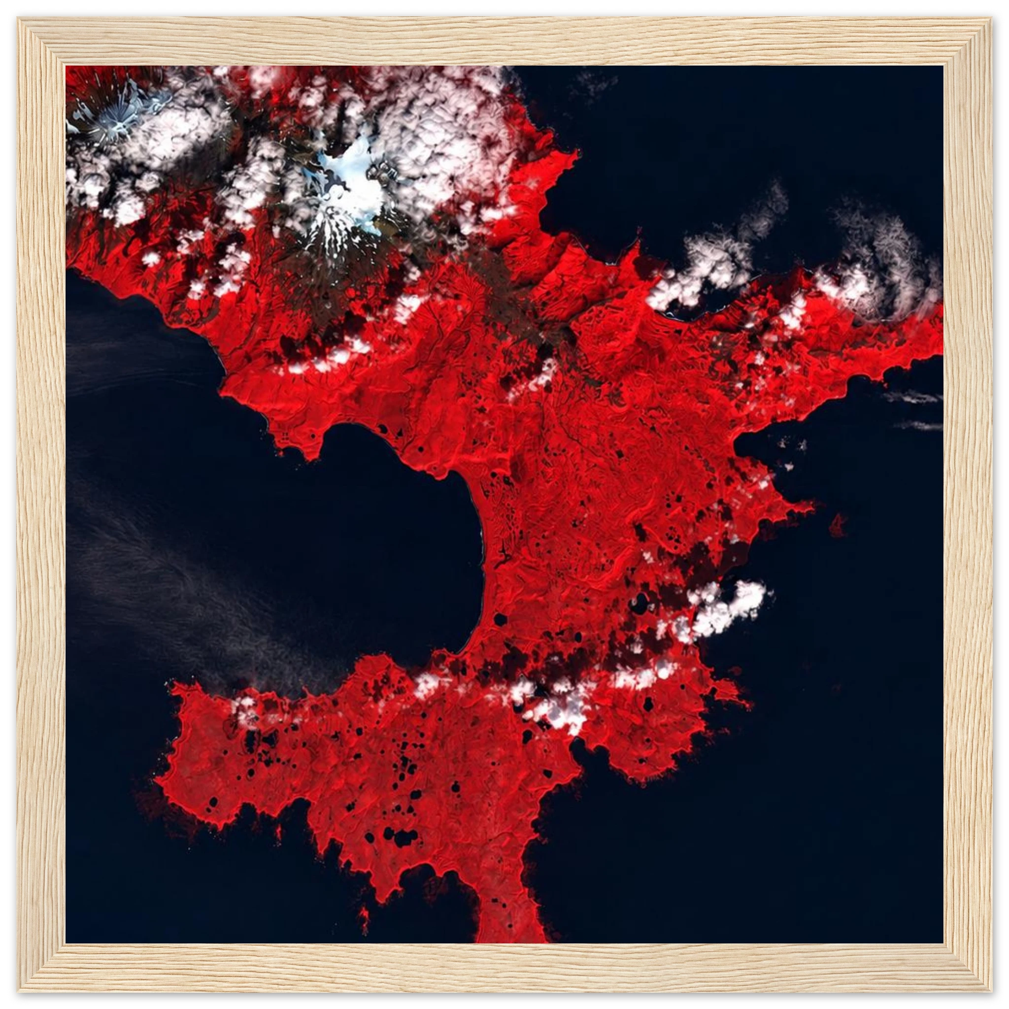 c9168ab8-11ad-43cf-acc9-7eb2ca69f759