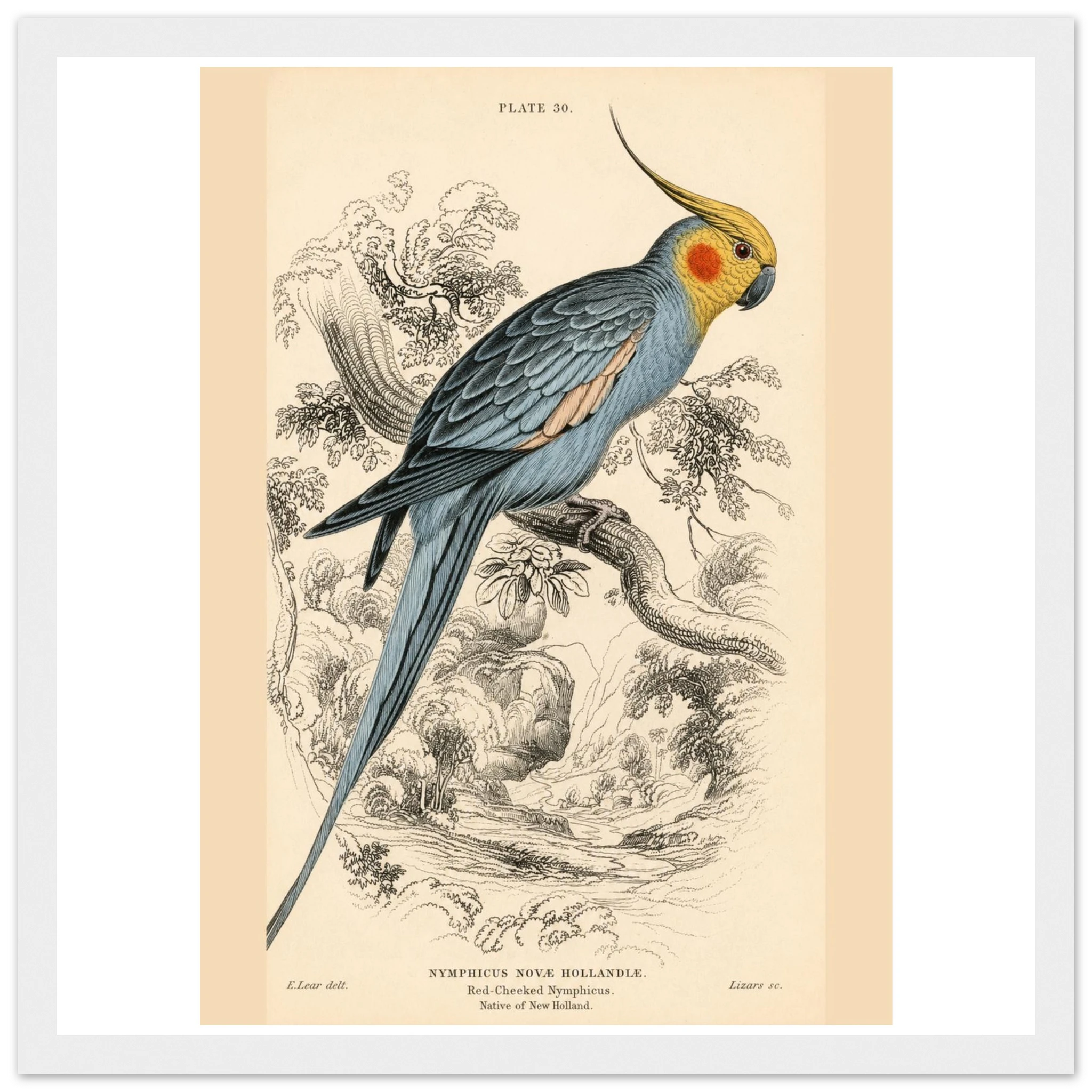 ca02db8d-d9ba-47c4-8f09-0eba30b9ffd2
