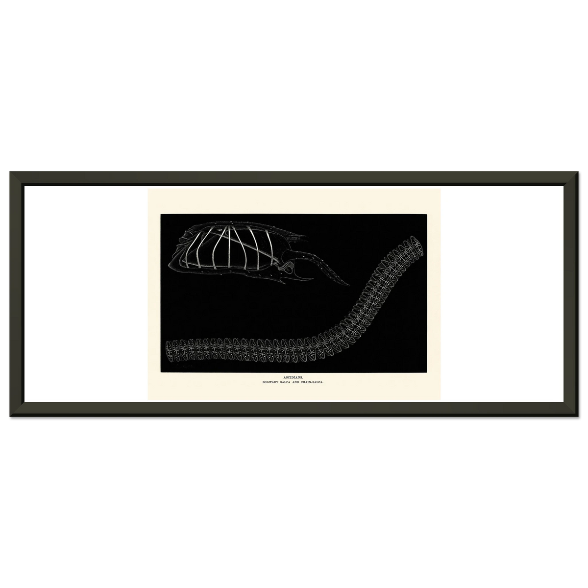 ca0310a4-86a9-4fa1-84bb-2ea8ea6d4695