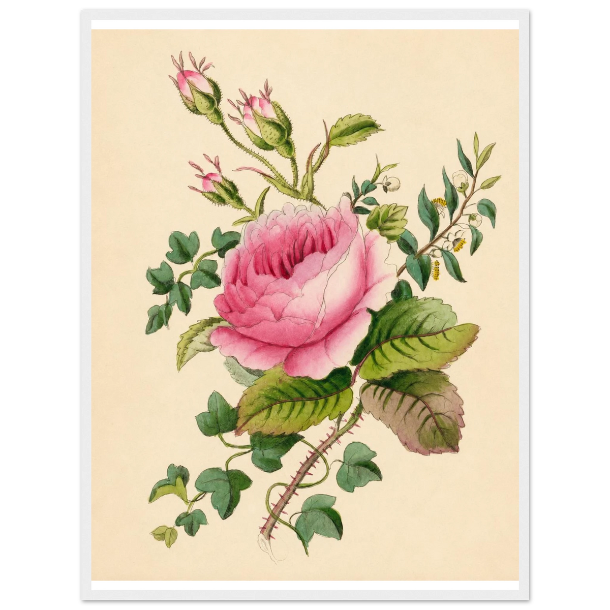 ca098f58-3834-4ebd-aad7-097245ade4e7