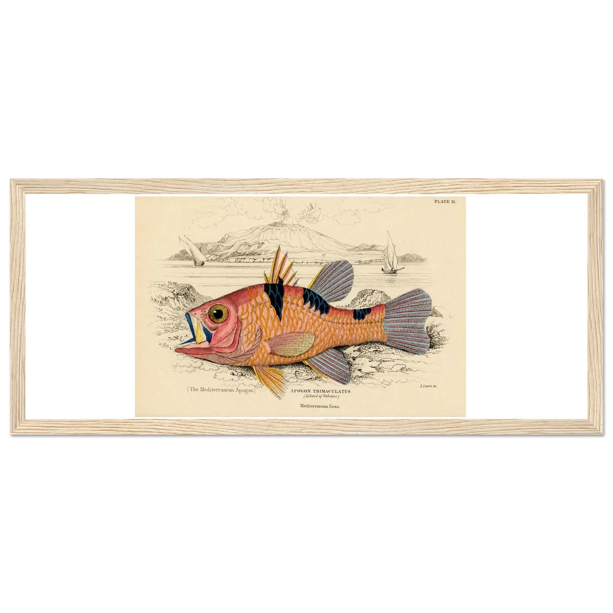 ca2a02a1-bdab-402d-9cf9-755c0f61186c