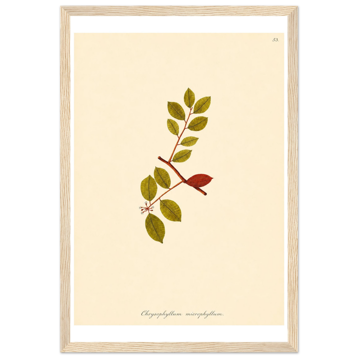 ca3ecb20-6671-457e-99f5-f3893da47a2d