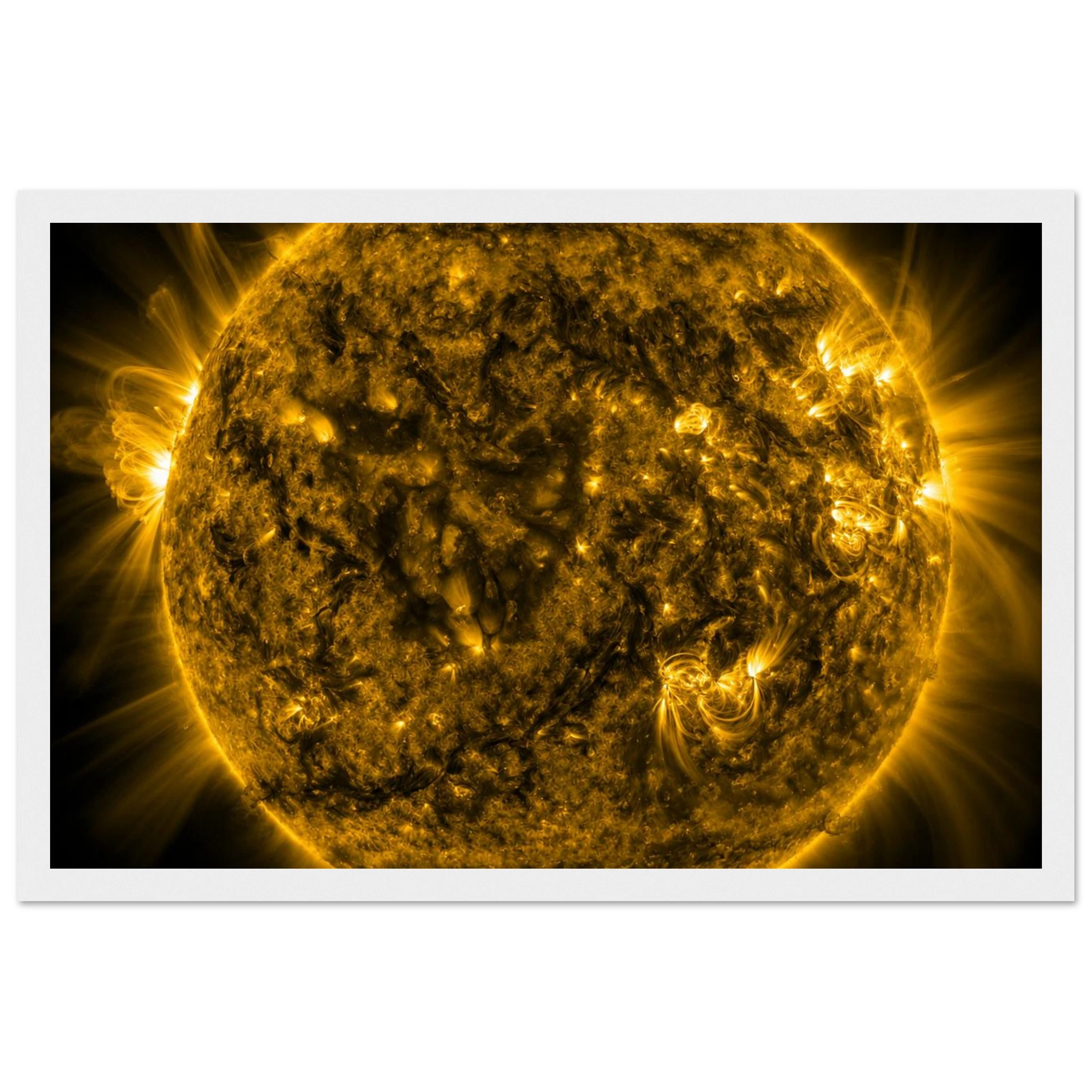 caabc427-e6b7-4247-a1a2-5f336e23c260