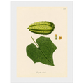 caccdca5-f169-480b-ad1d-d8fc5ae34243
