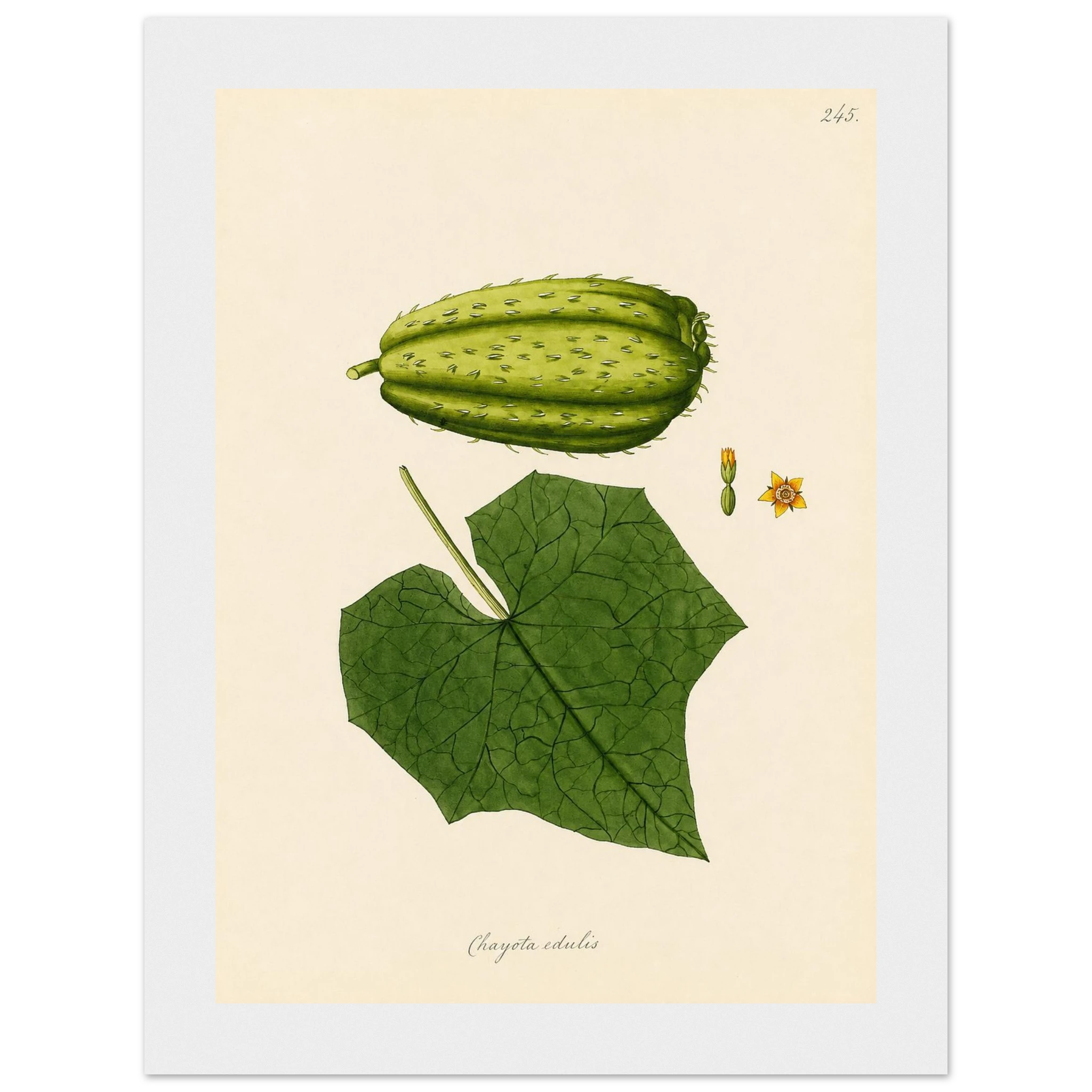 caccdca5-f169-480b-ad1d-d8fc5ae34243