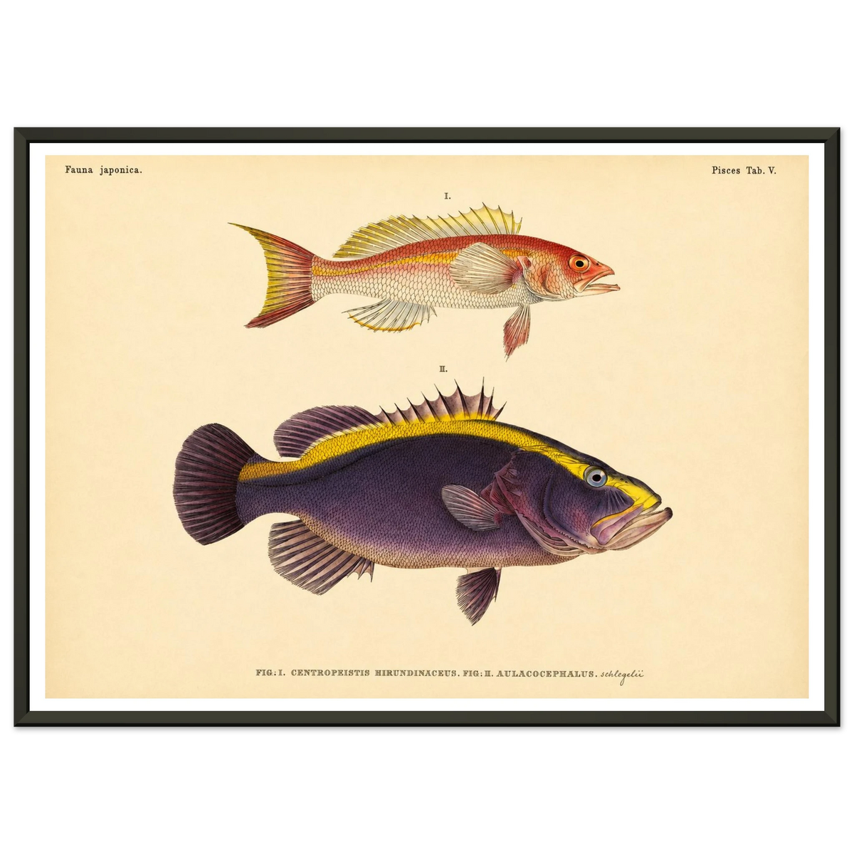 cb97405c-eb82-4b0a-869a-167012f9de47