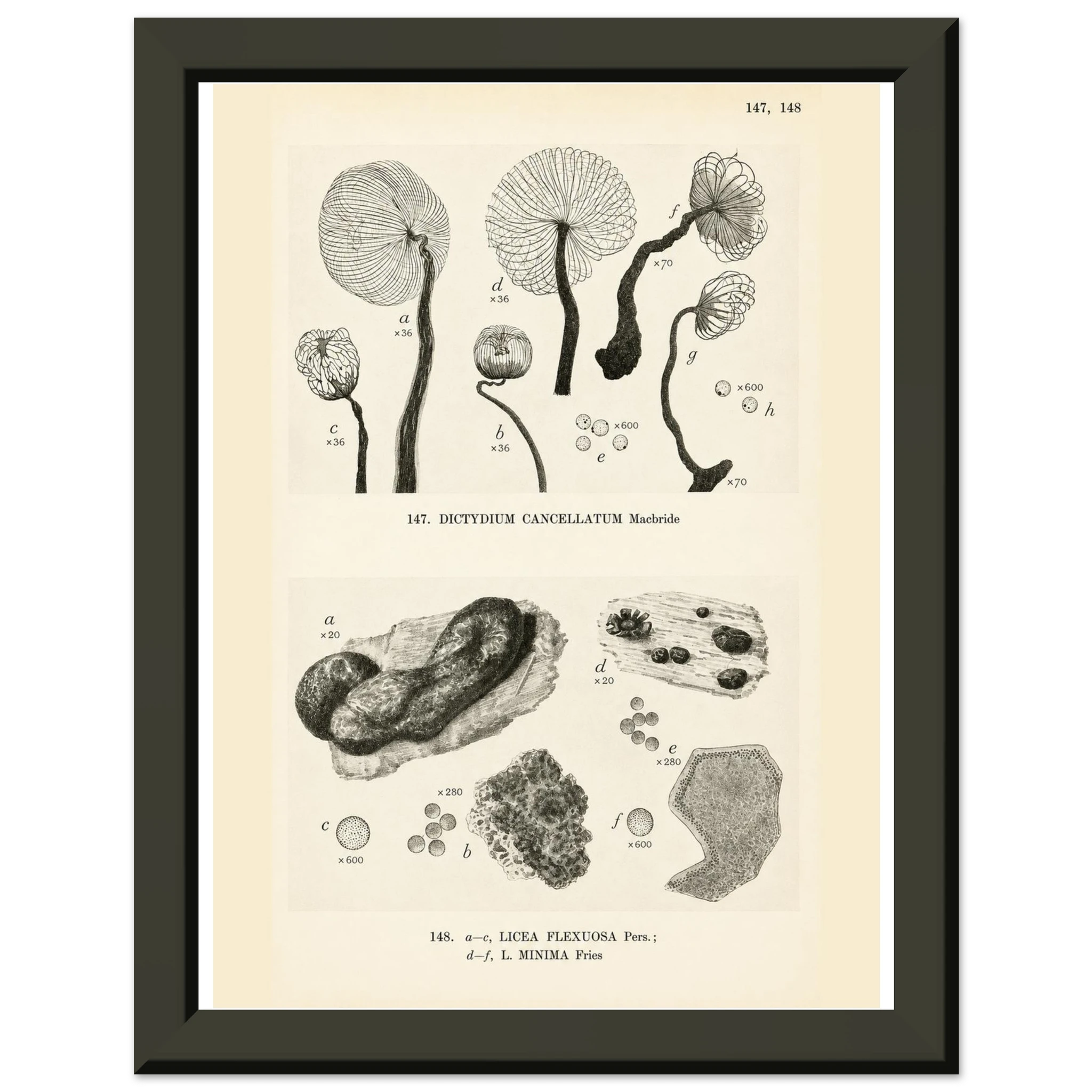 cbefd2d4-0930-46b5-ae40-bc27e6155b57