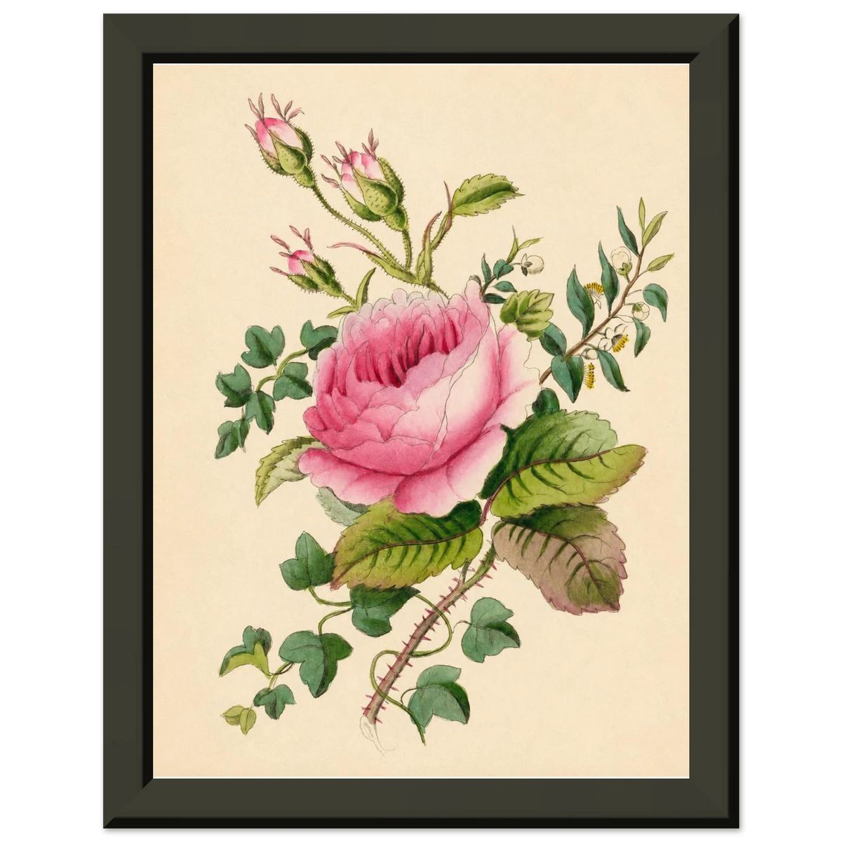 cc0d6478-3fe6-4b10-90ef-c87015ea6c95