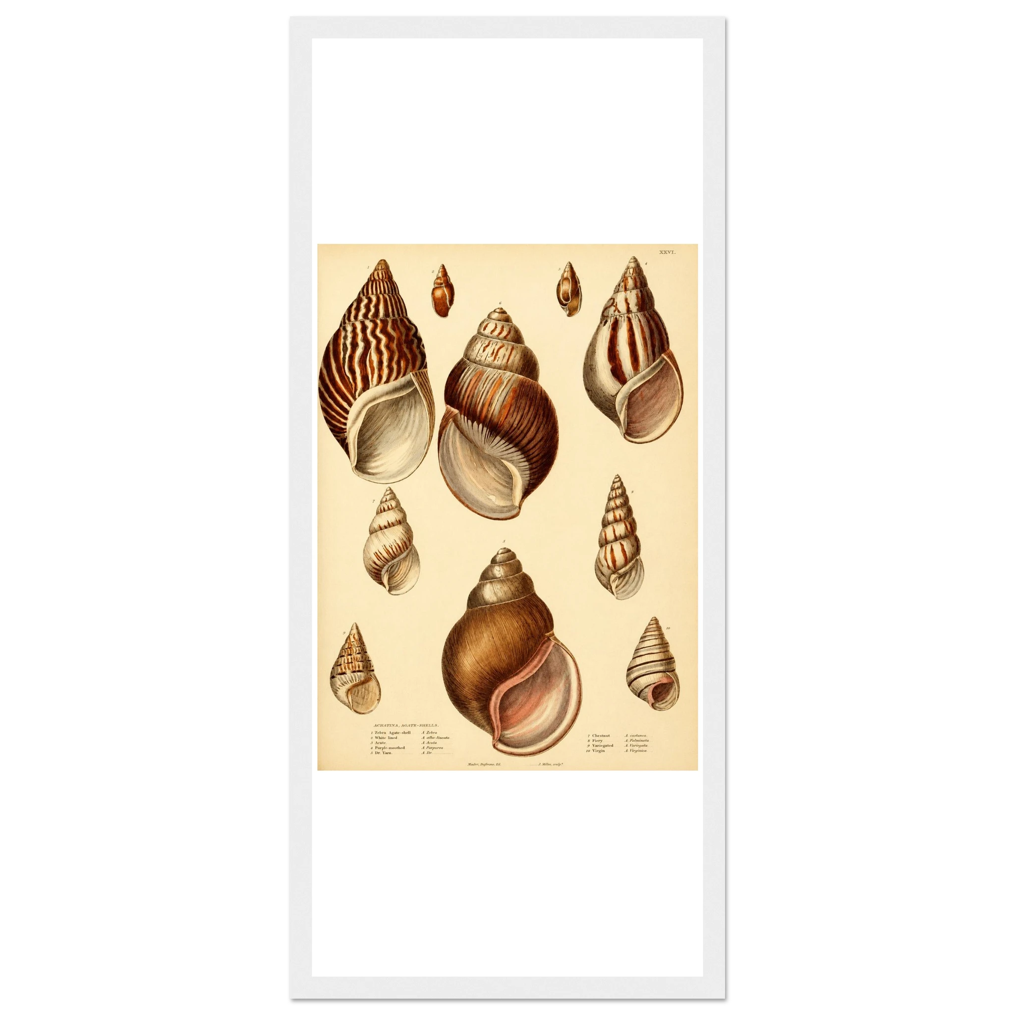 cc4d5391-9993-49be-8a00-40c49577738f