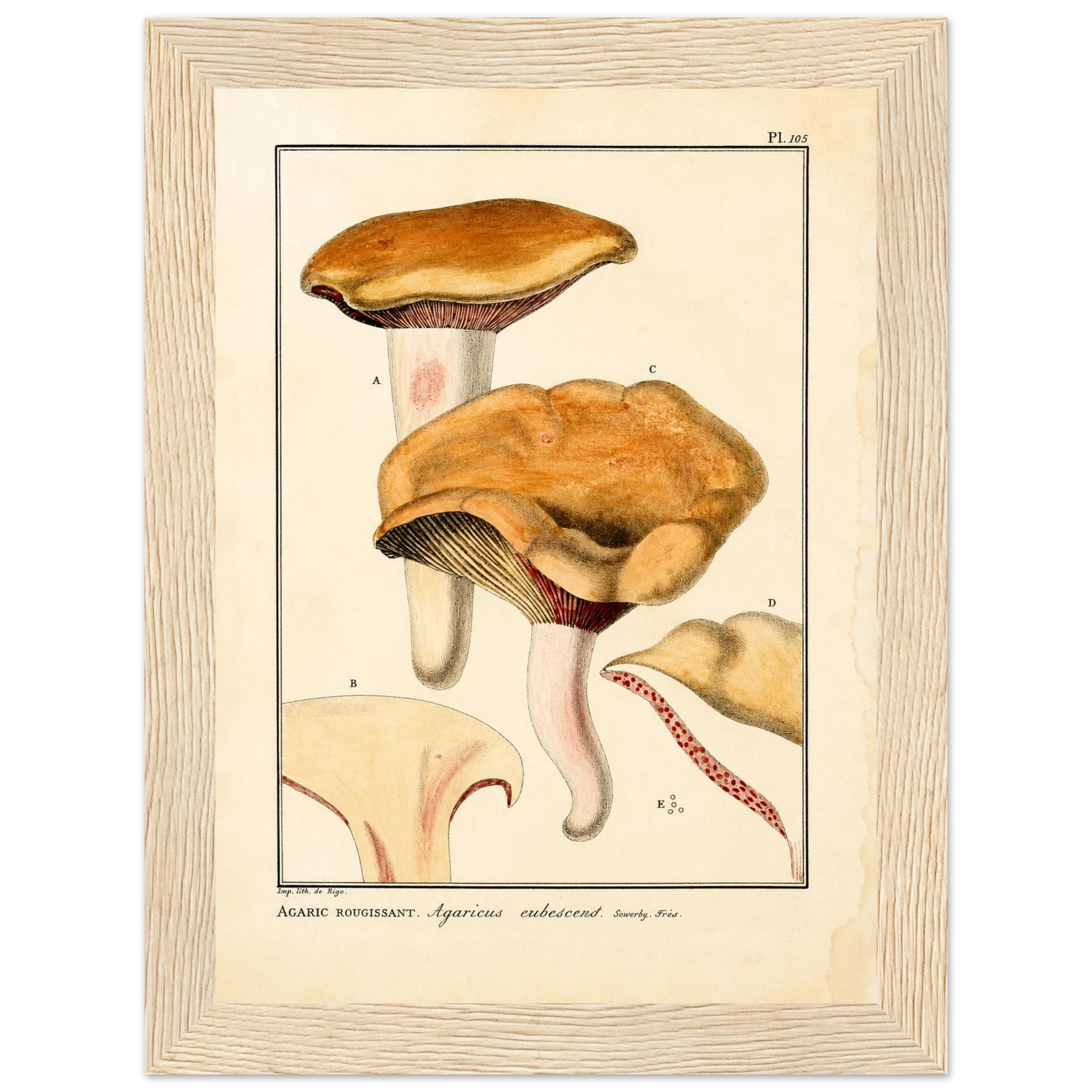 cc6cac38-ab85-4cce-a2c1-ef1f6b0f0629