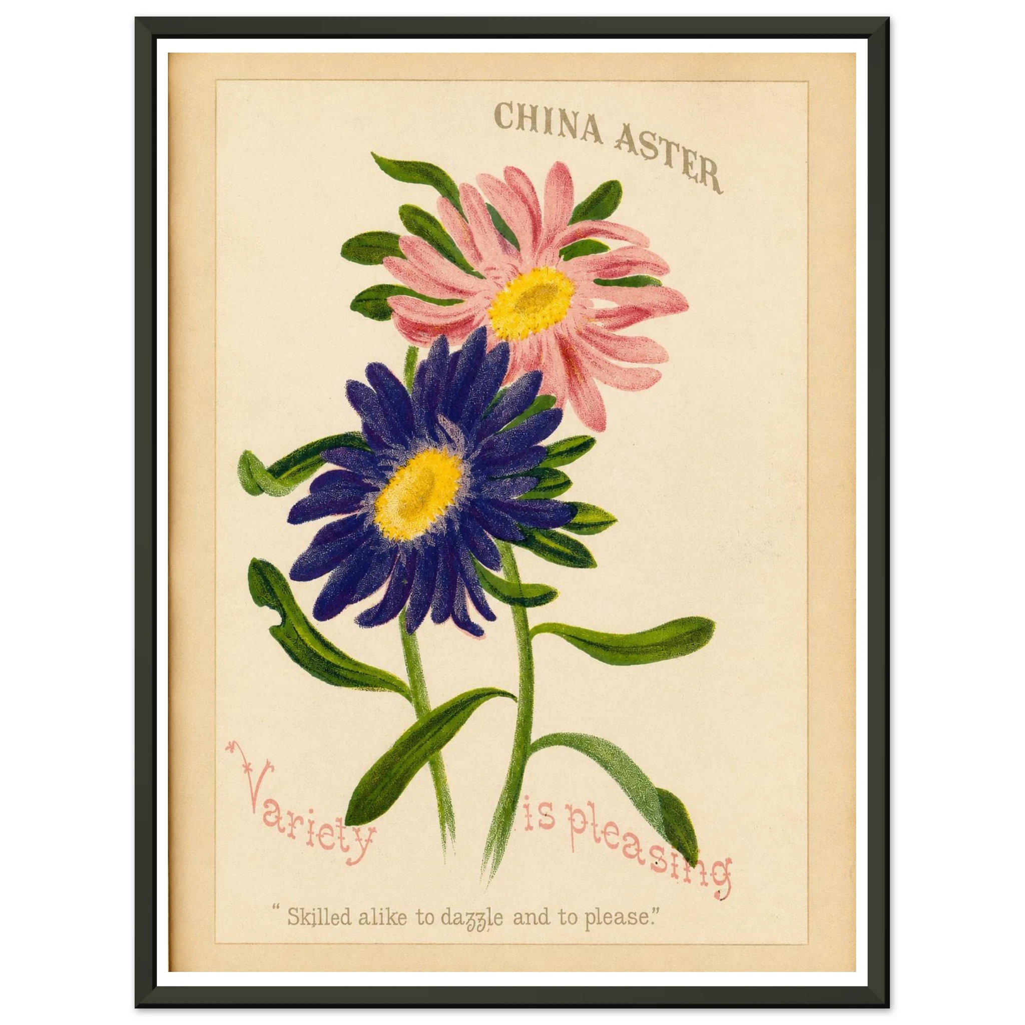 ccf927b2-9aec-4d92-a48a-d09fea855a81