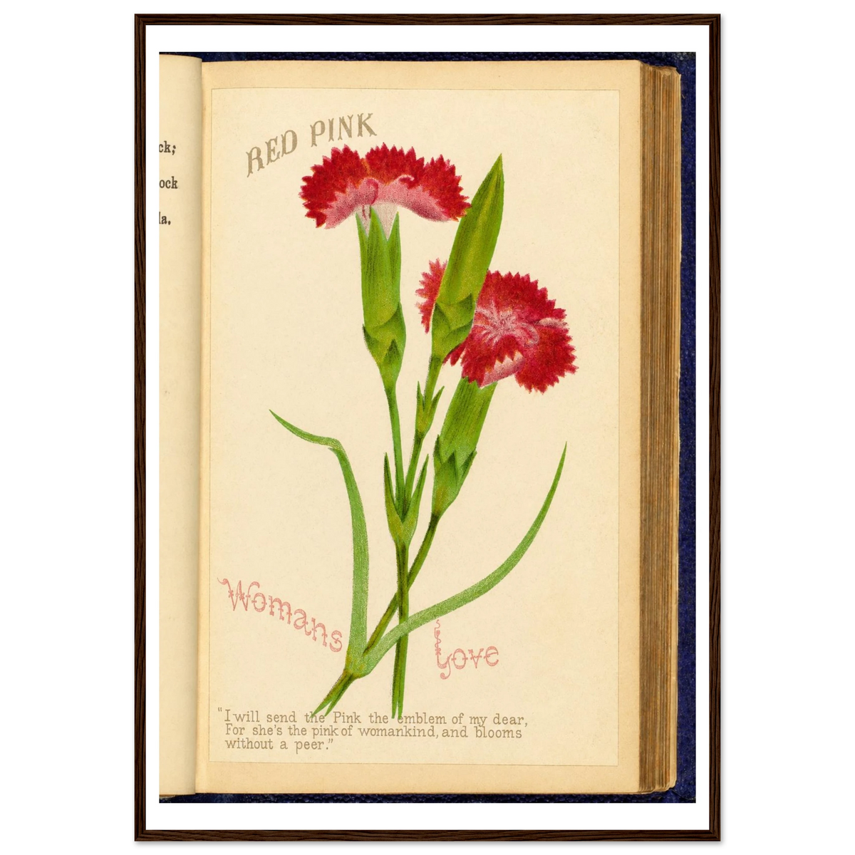 cd61f765-b89a-4d1b-a43f-946ee746bbfb
