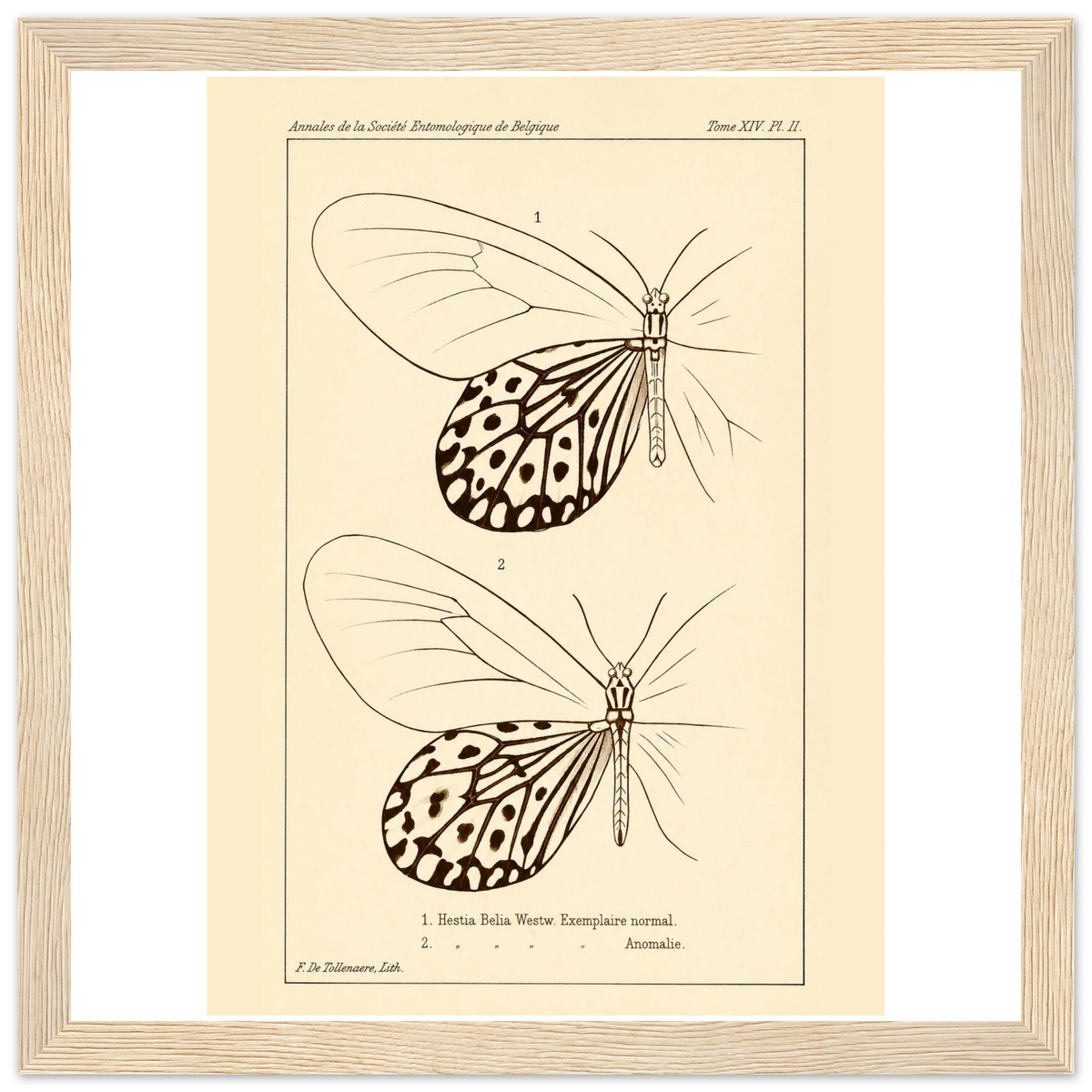 cdbff0db-9fd0-4fb0-bb6c-1589bf14fa90