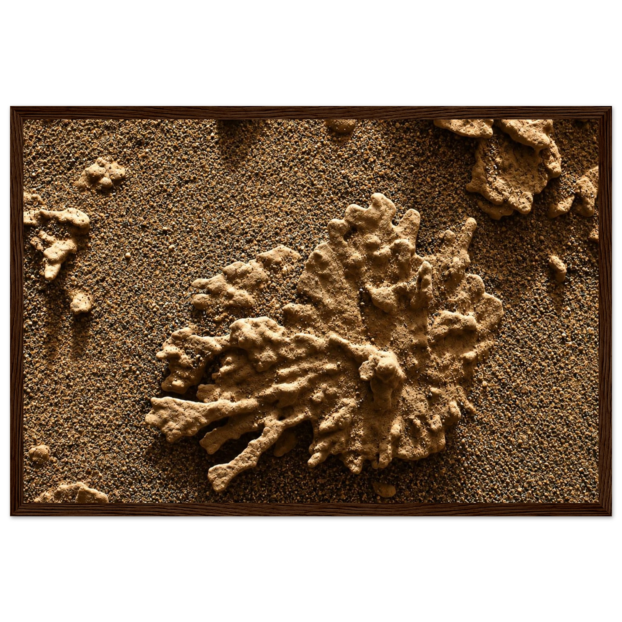 cdc3052c-2e4a-44bc-a759-4d09432f8002