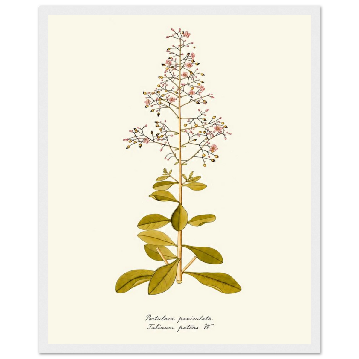 ce1dfdbd-5cbe-448b-ad40-1d99c74649f7