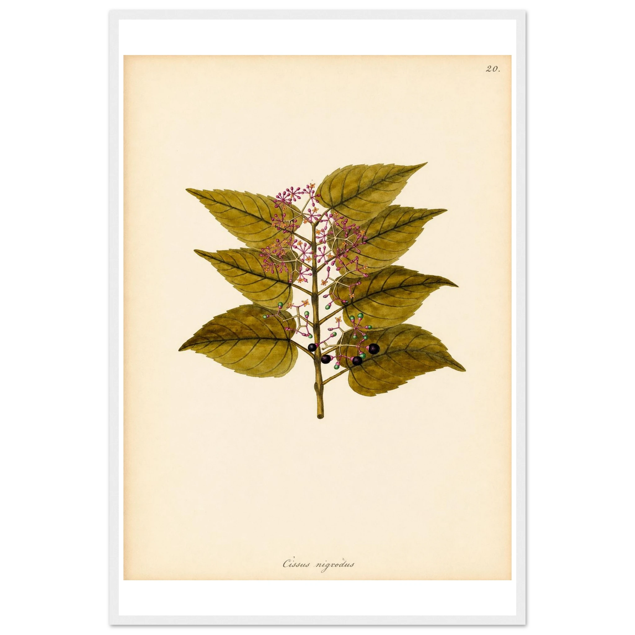 ce606cbe-a11f-4255-aca7-74cc5de4d7a9