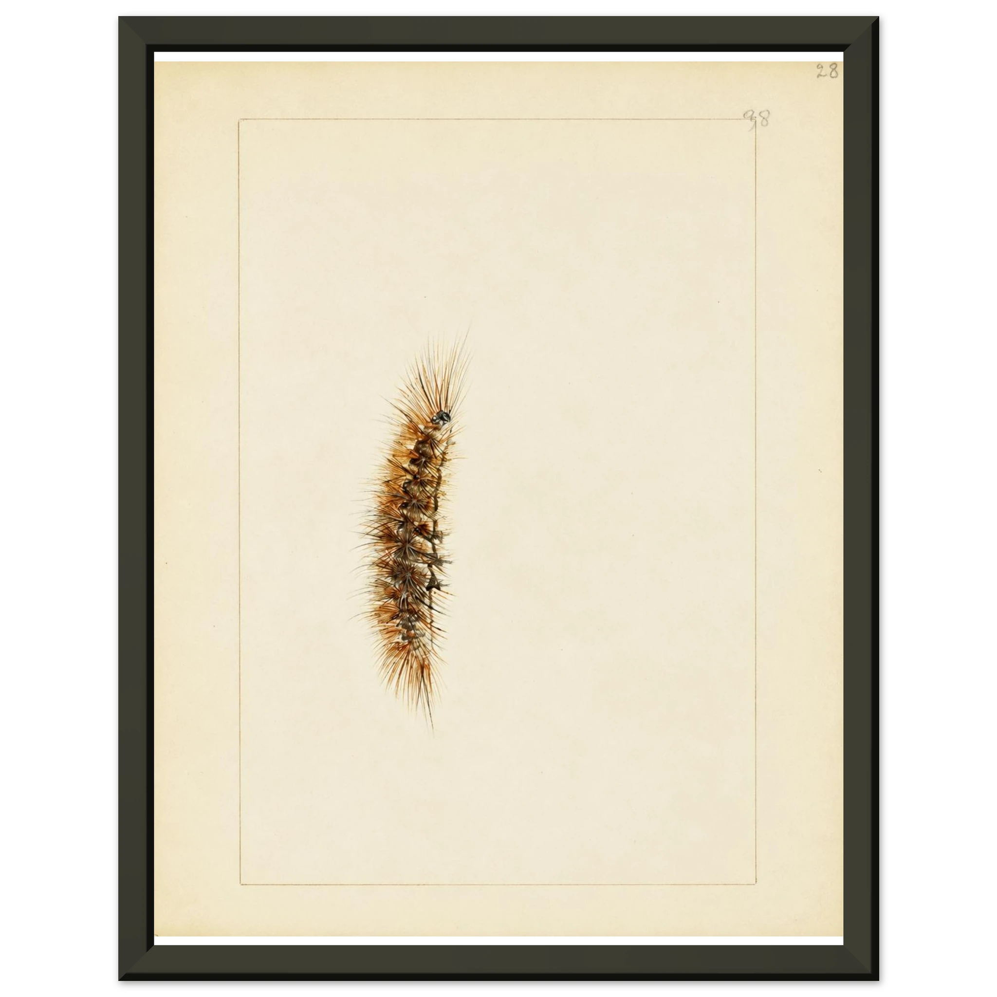 cea64813-abcf-4514-bf79-17f677e33ffe