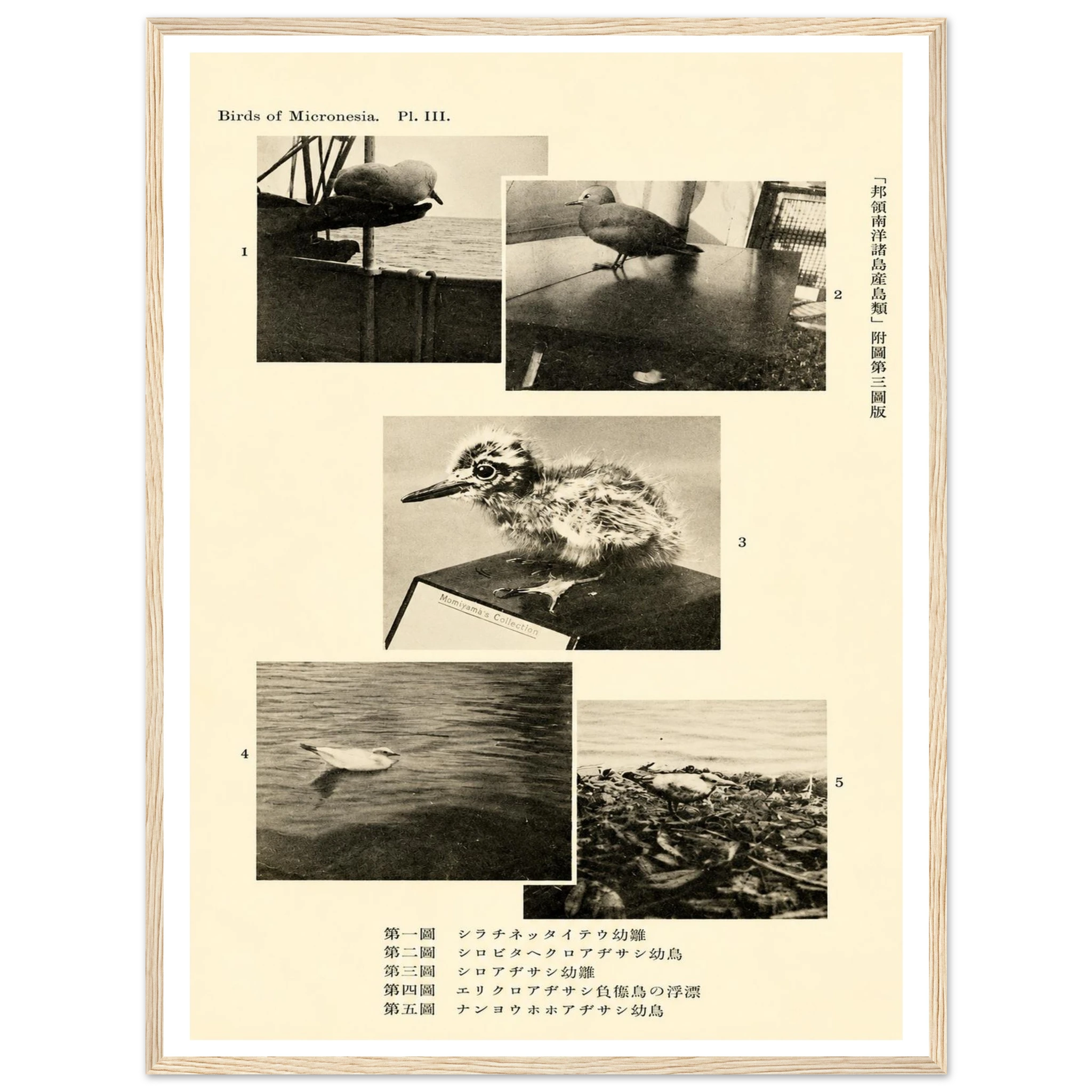 ceac650b-5158-49d9-a3e2-fc6765adf645