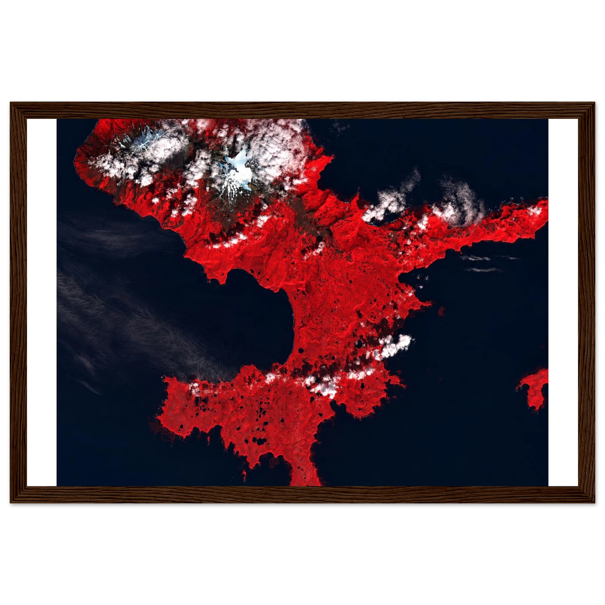 cfebbb1e-6874-4f84-b529-3879b3d46bad