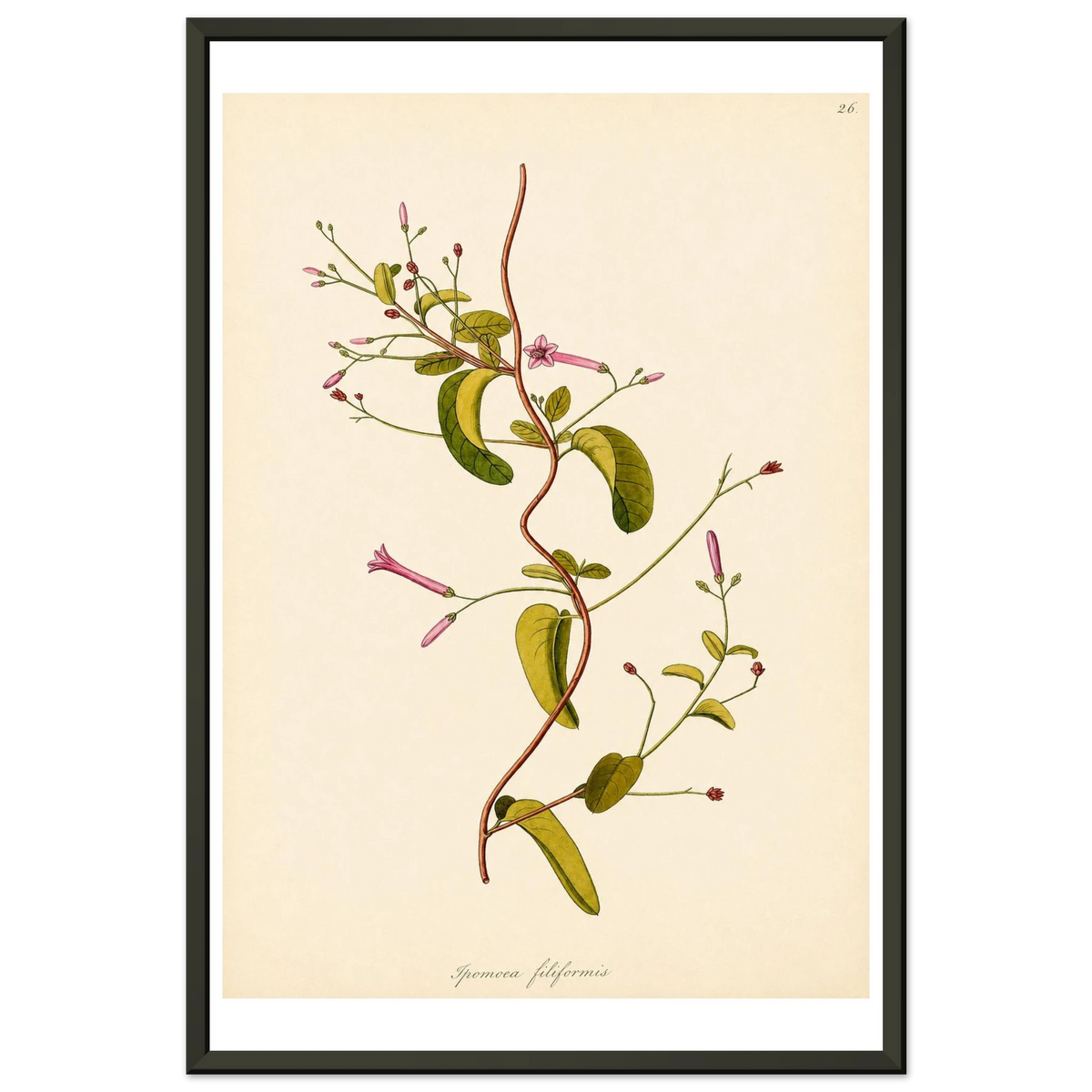 d006584b-28b2-42b7-93c5-b40a26025897
