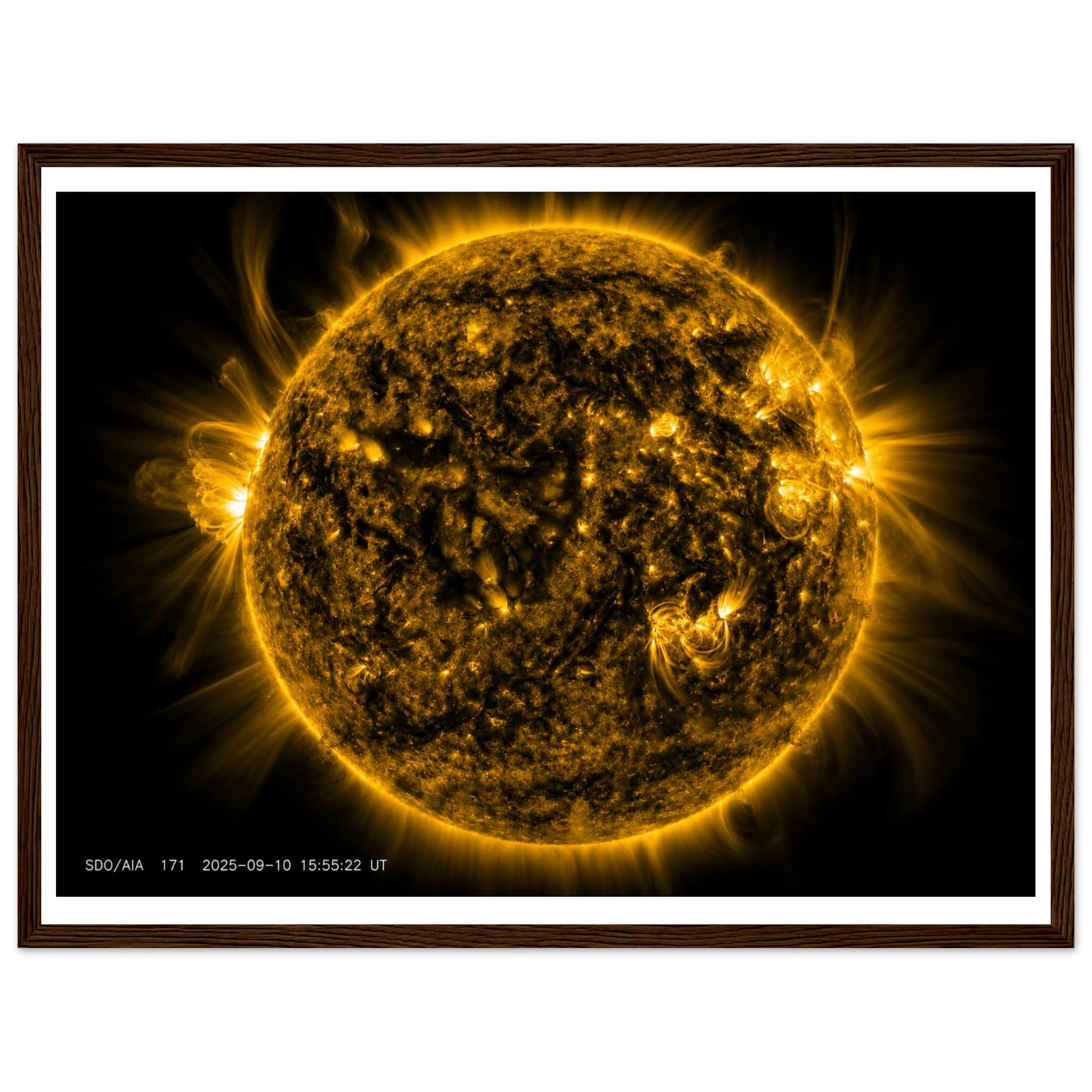d078a04d-8797-441e-ae8e-18a490e743a9
