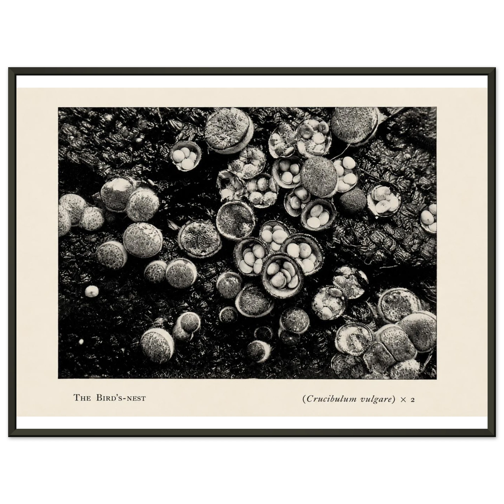 d15f9669-7837-4f5e-8683-58613a25c2db