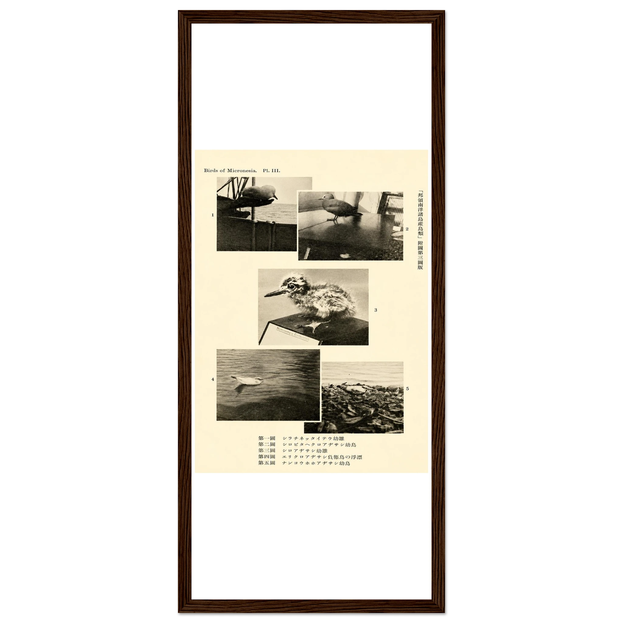 d1974b00-175c-41f2-aa7c-ef09f241e082