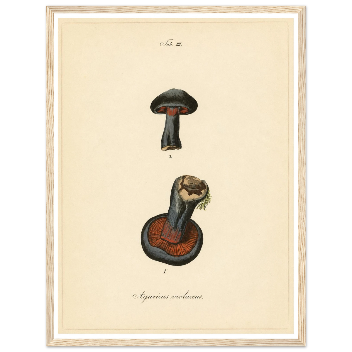 d26169e7-bb43-4177-a071-c865de1062eb