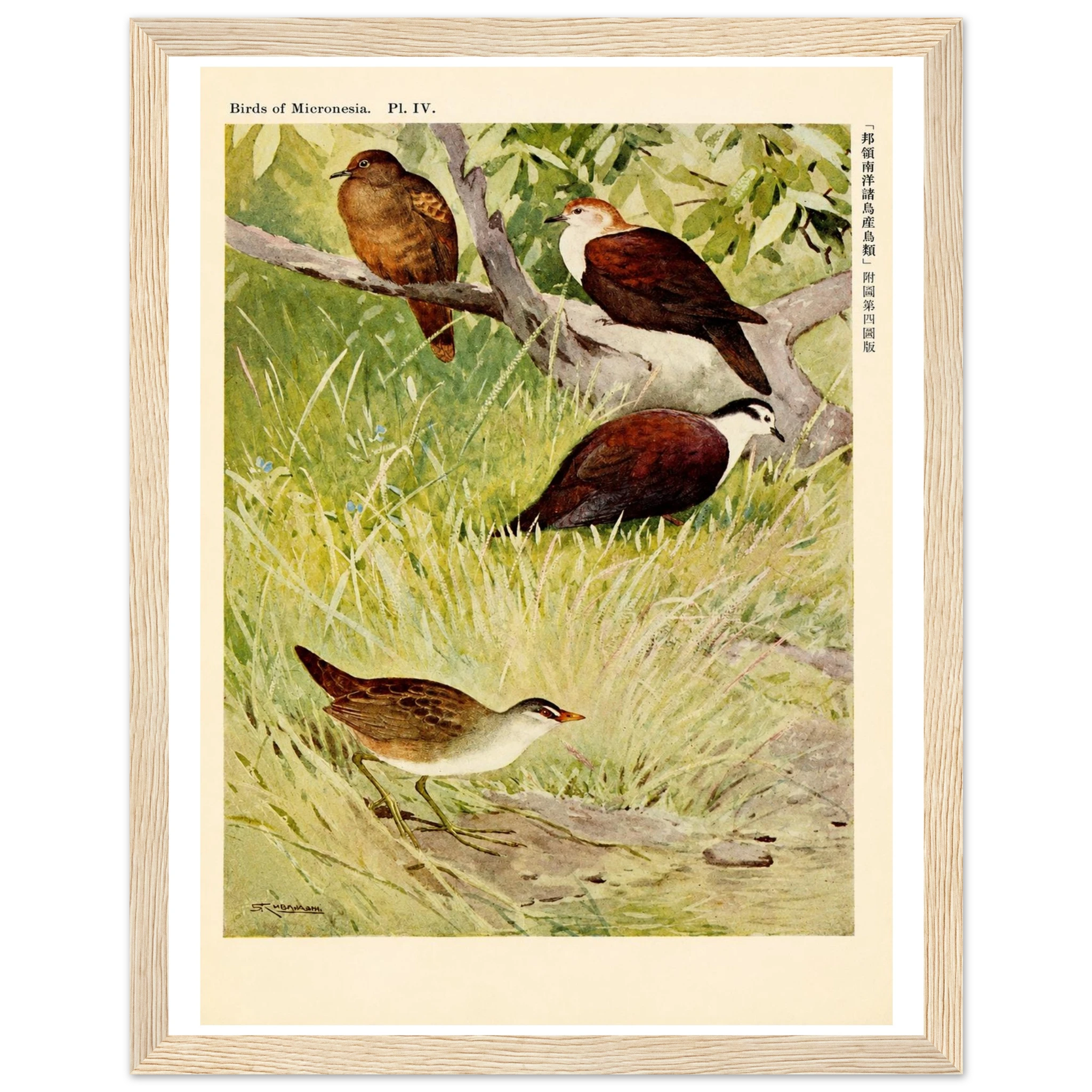 d2691756-e3e8-4099-a284-85169d0a9375