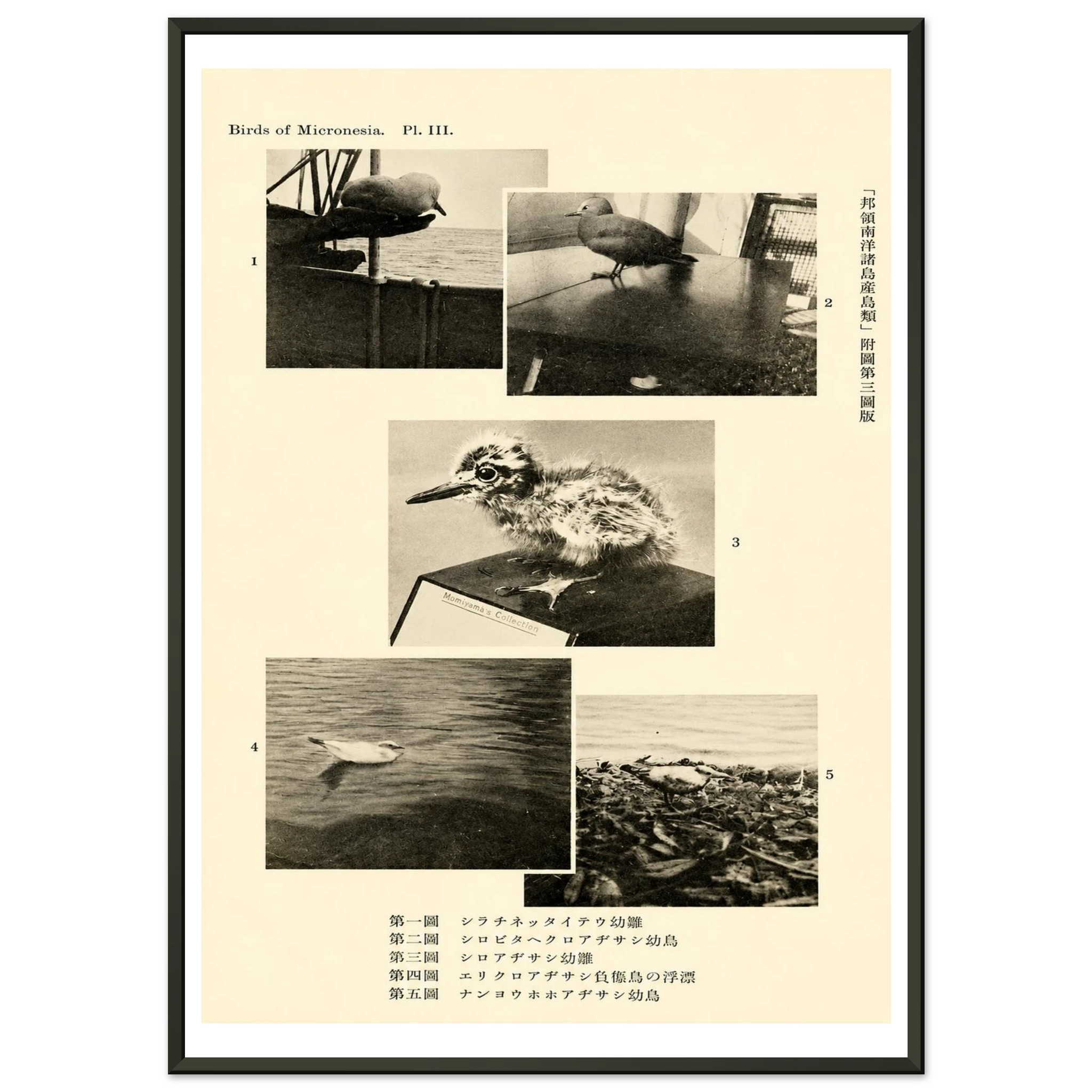 d2f047a4-39fe-4871-882e-8bcb3f5d1ba0